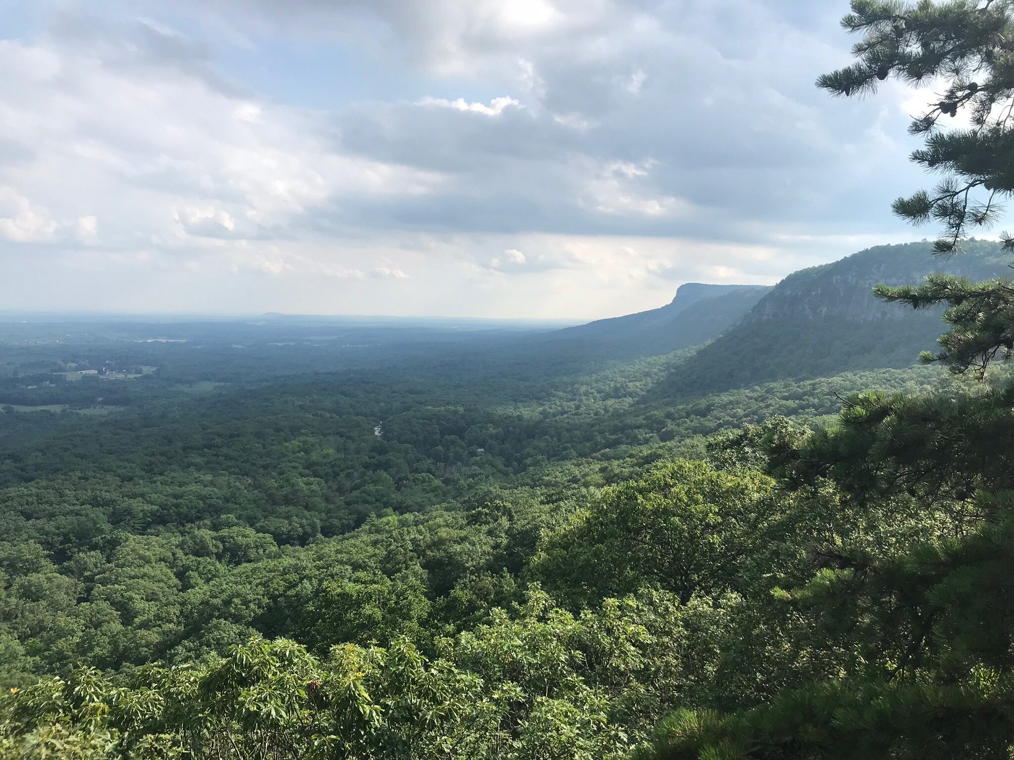 Mental Wellness Toolkit