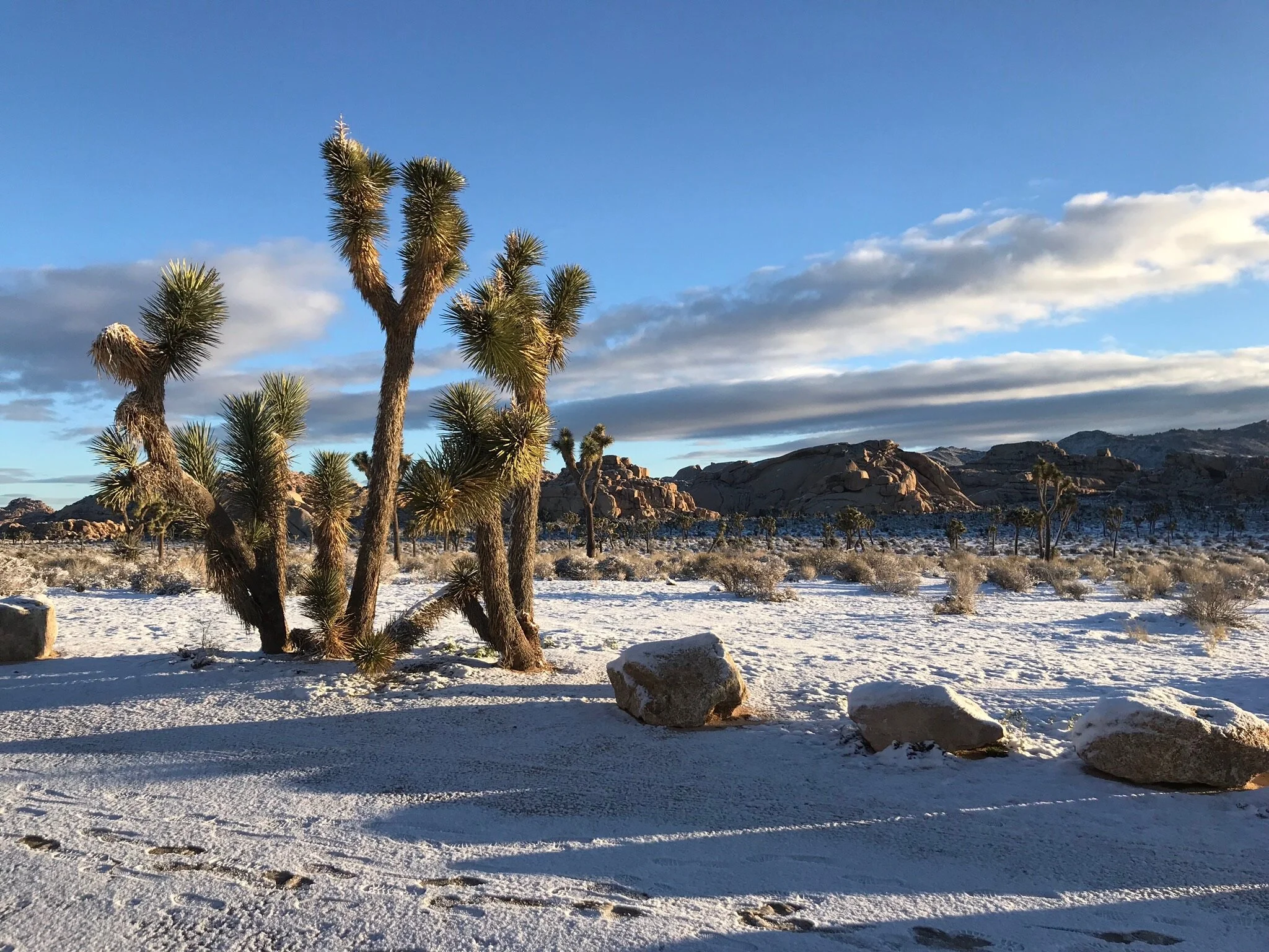 Show me your follows, I’ll show you your future