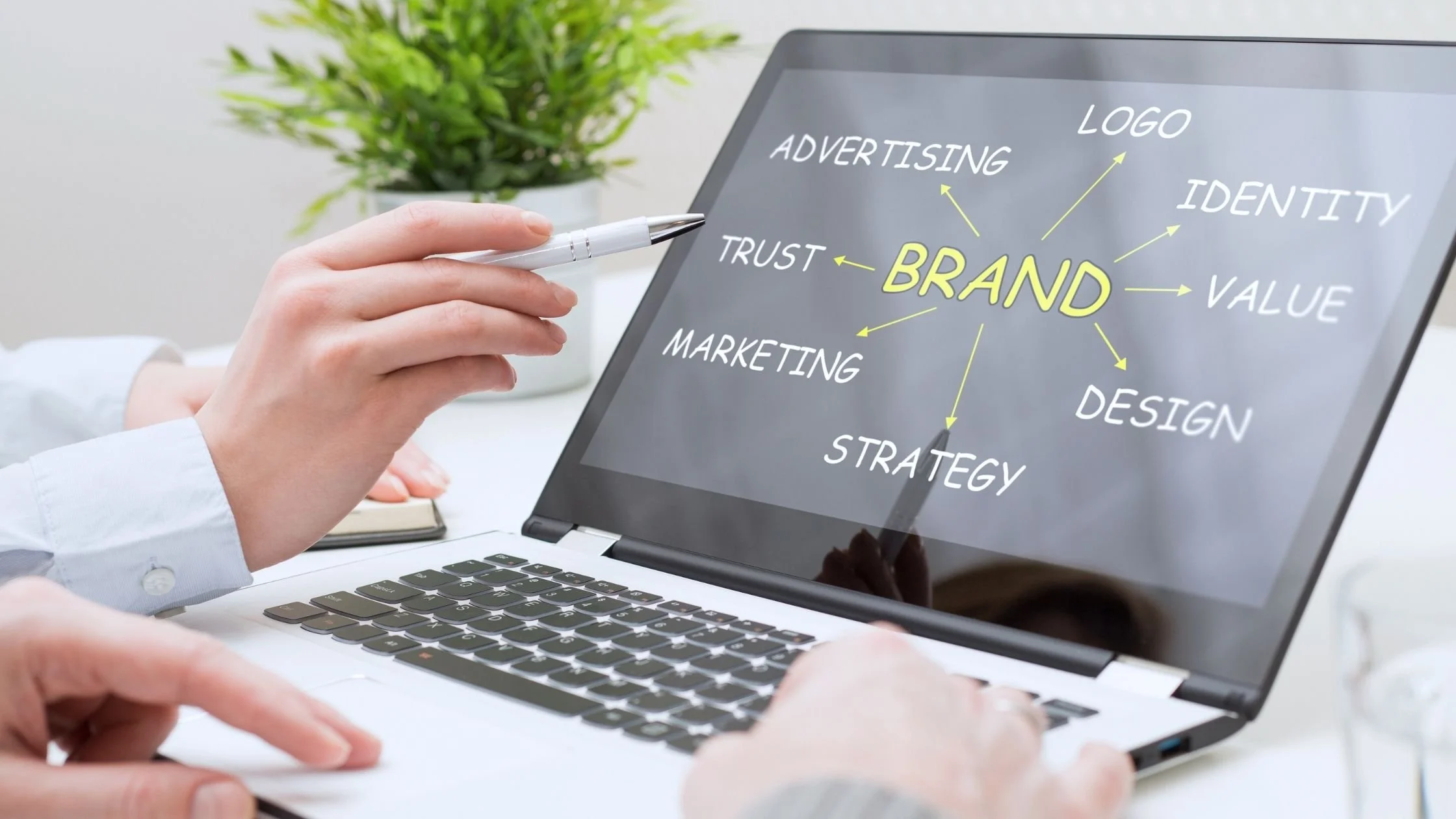 business consultant discussing branding with client on a laptop screen