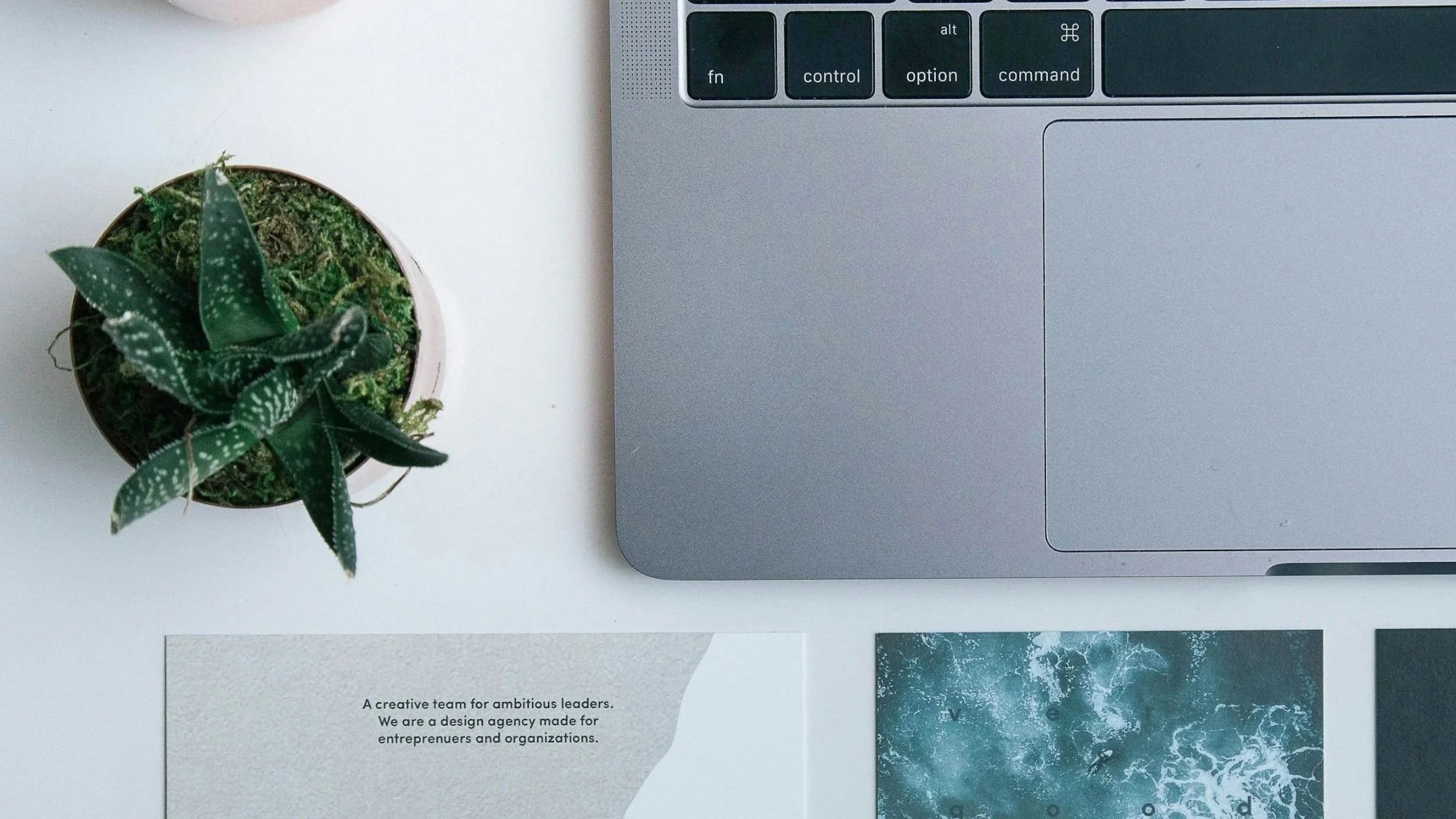 minimalist desk with laptop and plat creative shot top view