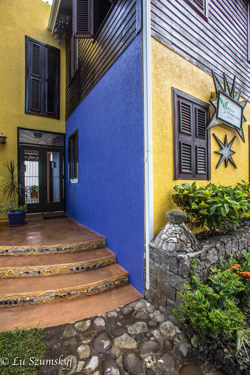 Front steps to brass front door