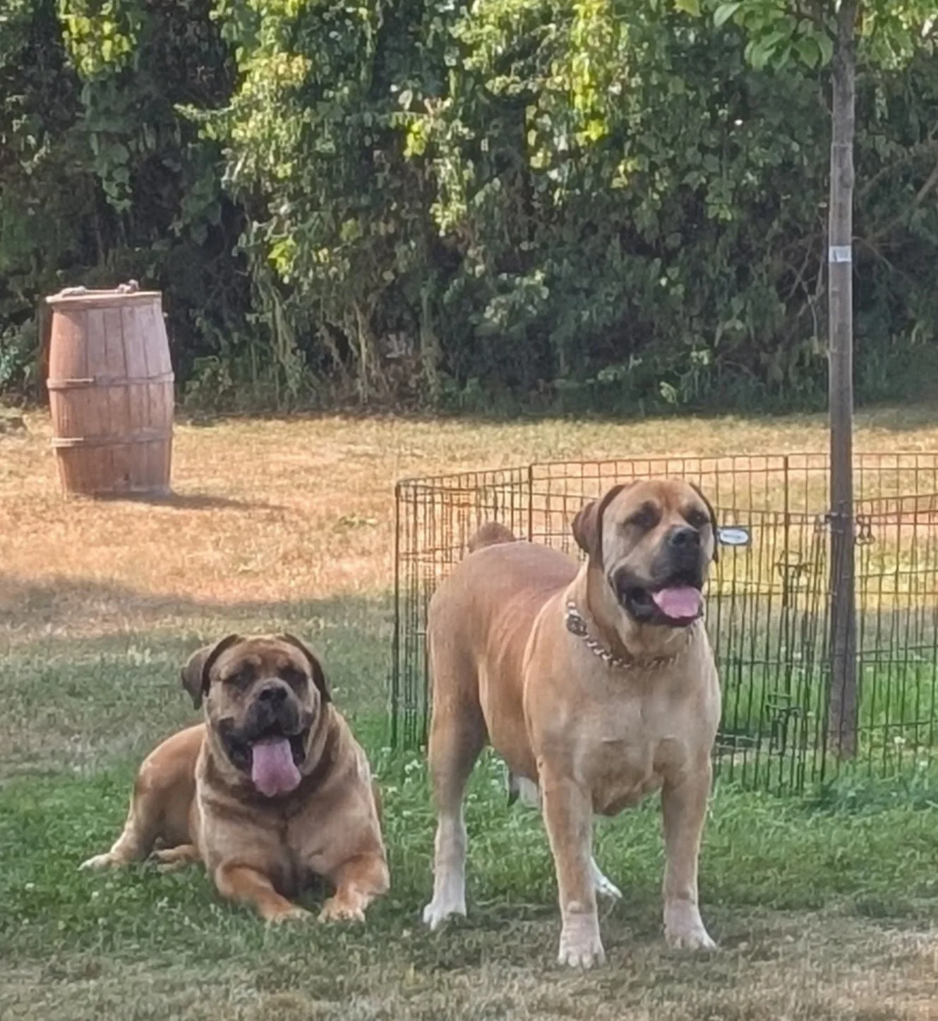 PXL_20250809_151559476.PORTRAIT.ORIGINAL (1).jpg