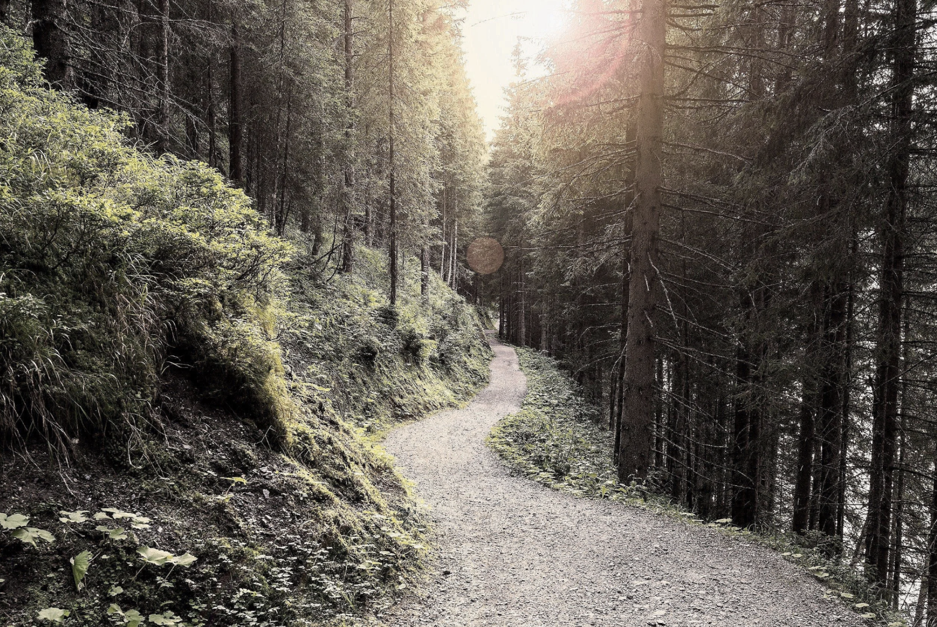 Website Header.png