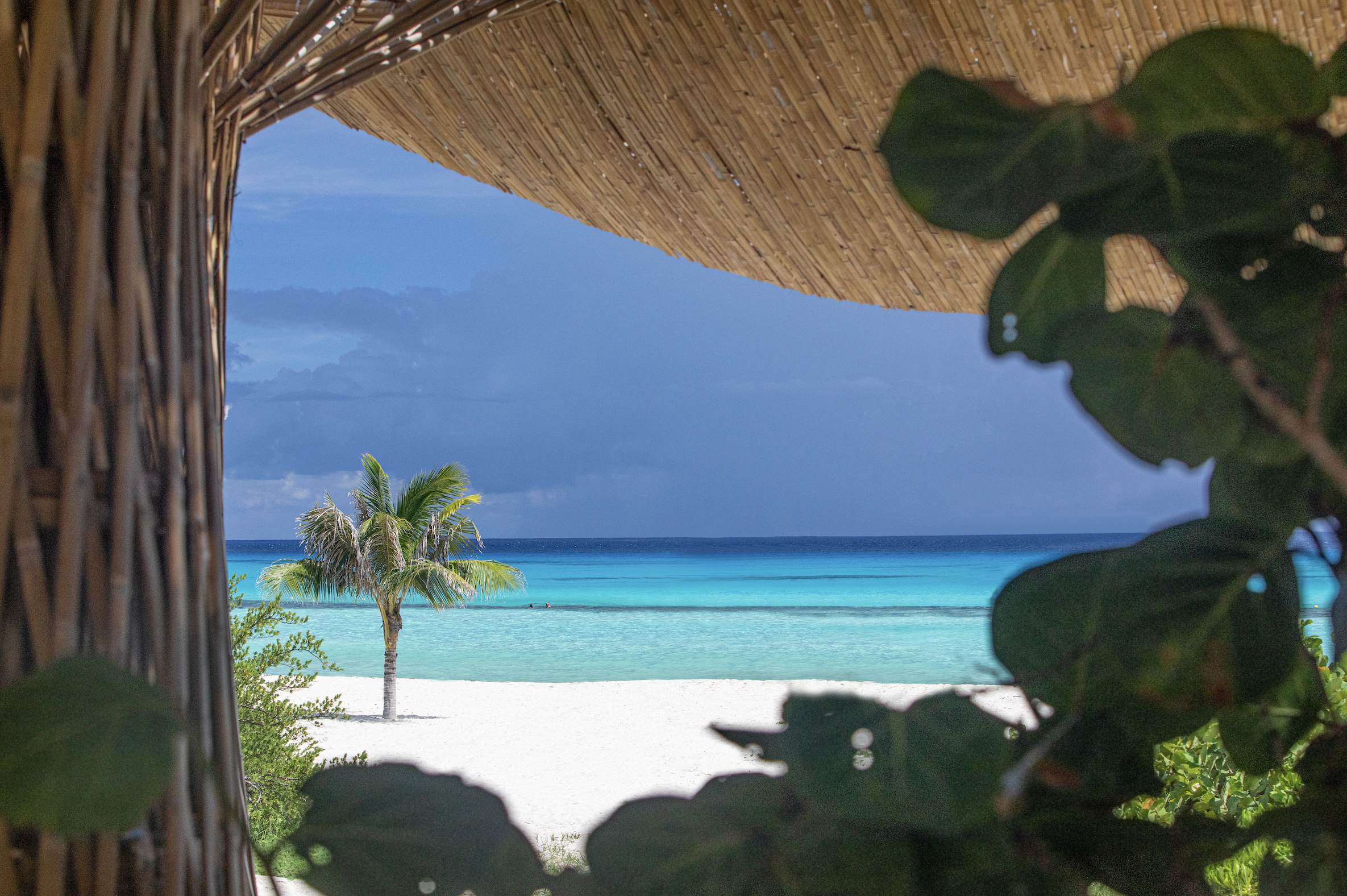 Screenshot 2026-02-02 at 6.06.03 PM.png