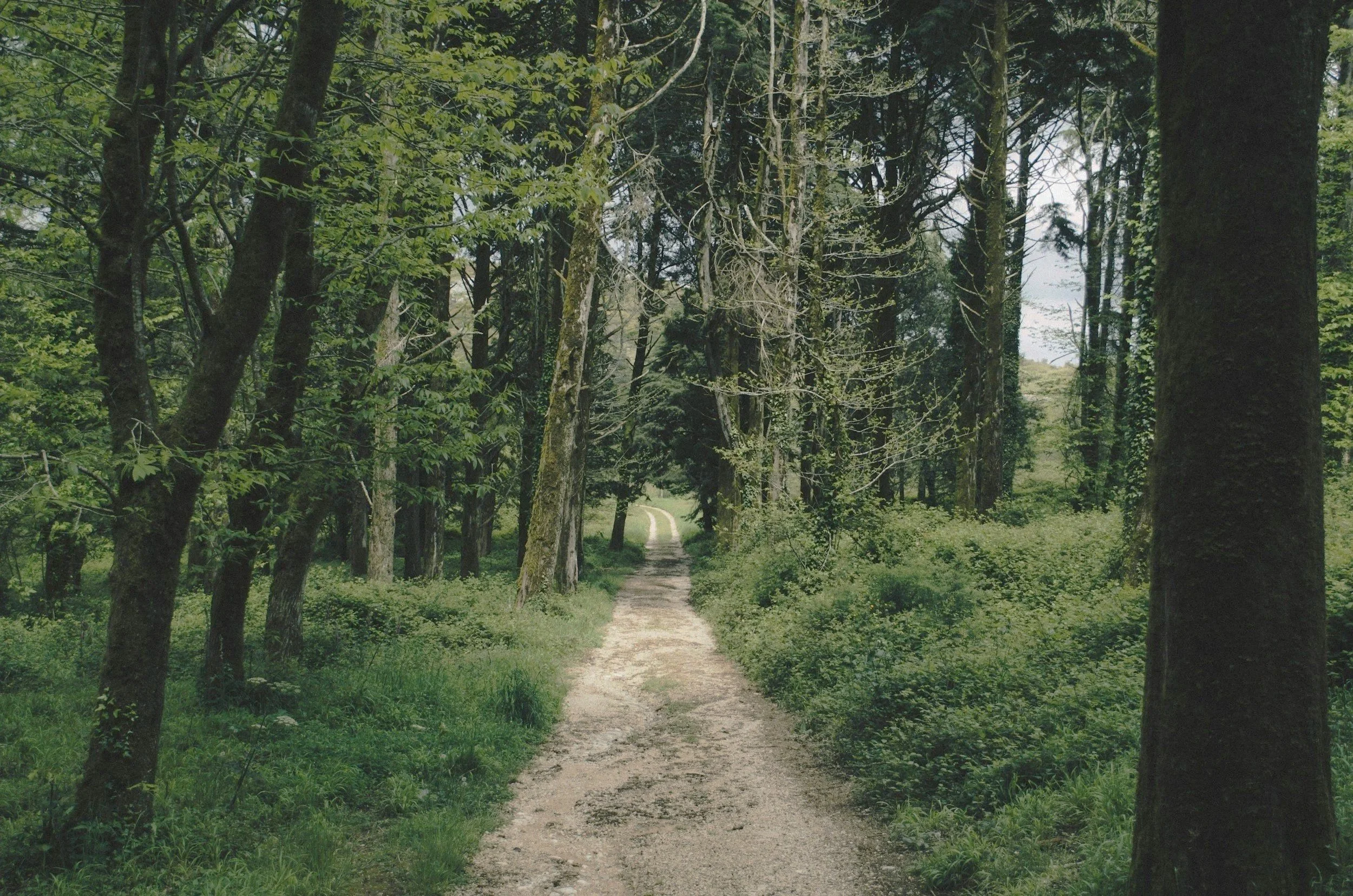 unsplash-image-FtOQH6aFDCo.jpg