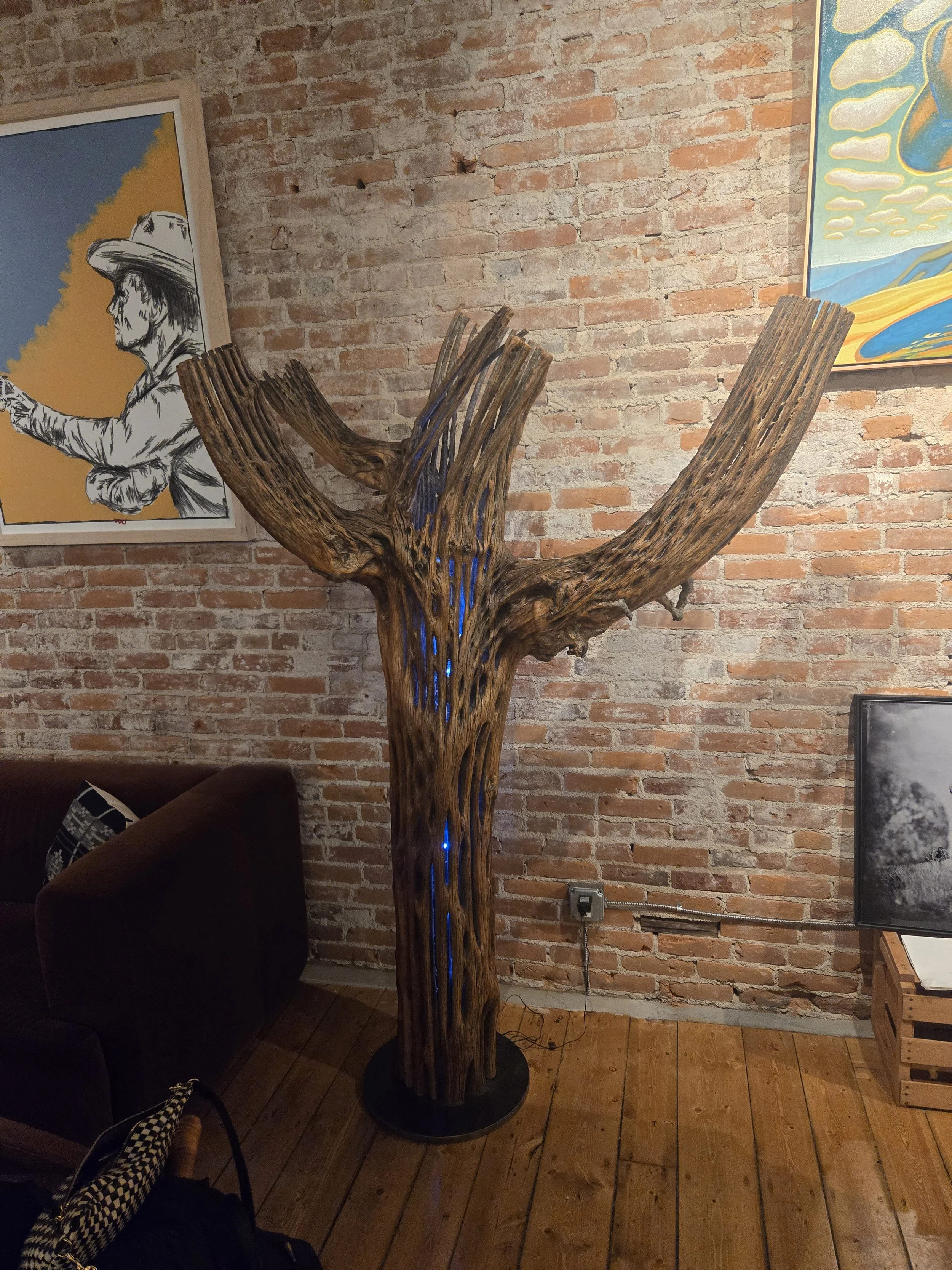 Cactus with lights.jpg