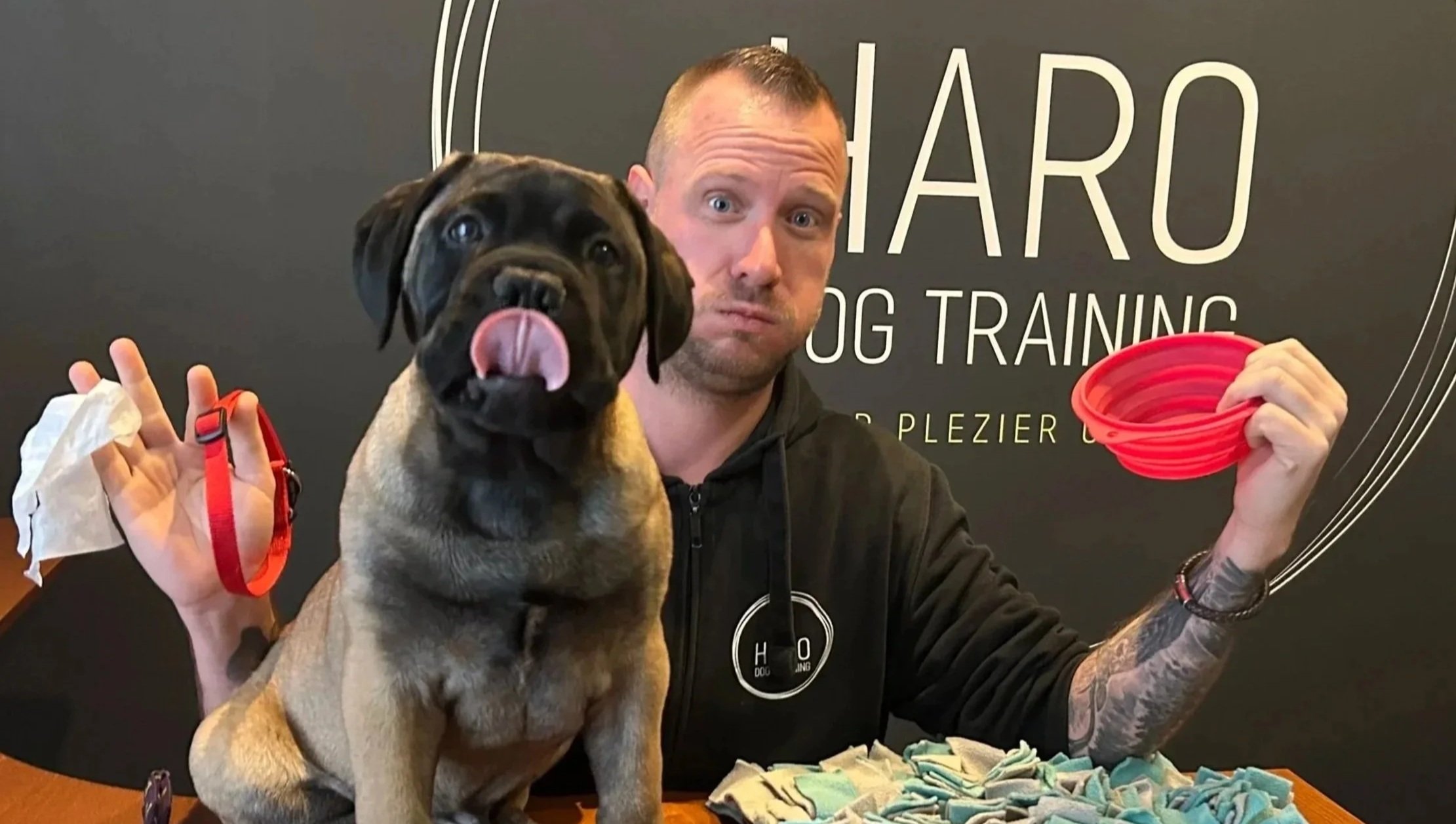 Hans Roijakkers - Haro Dog Training met zijn bullmastiff puppy Willem in de trainingsruimte indoor voor hondentraining.