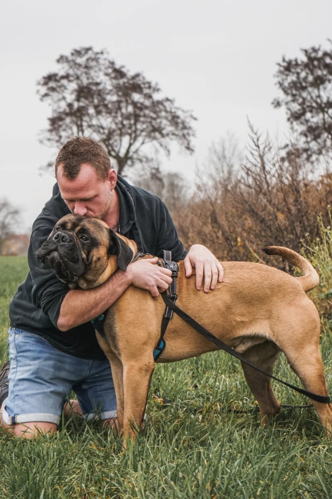 Hans Roijakkers van Haro Dog Training in een veld en rustige omgeving, met zijn waakhond en bullmastiff in de puberteit.