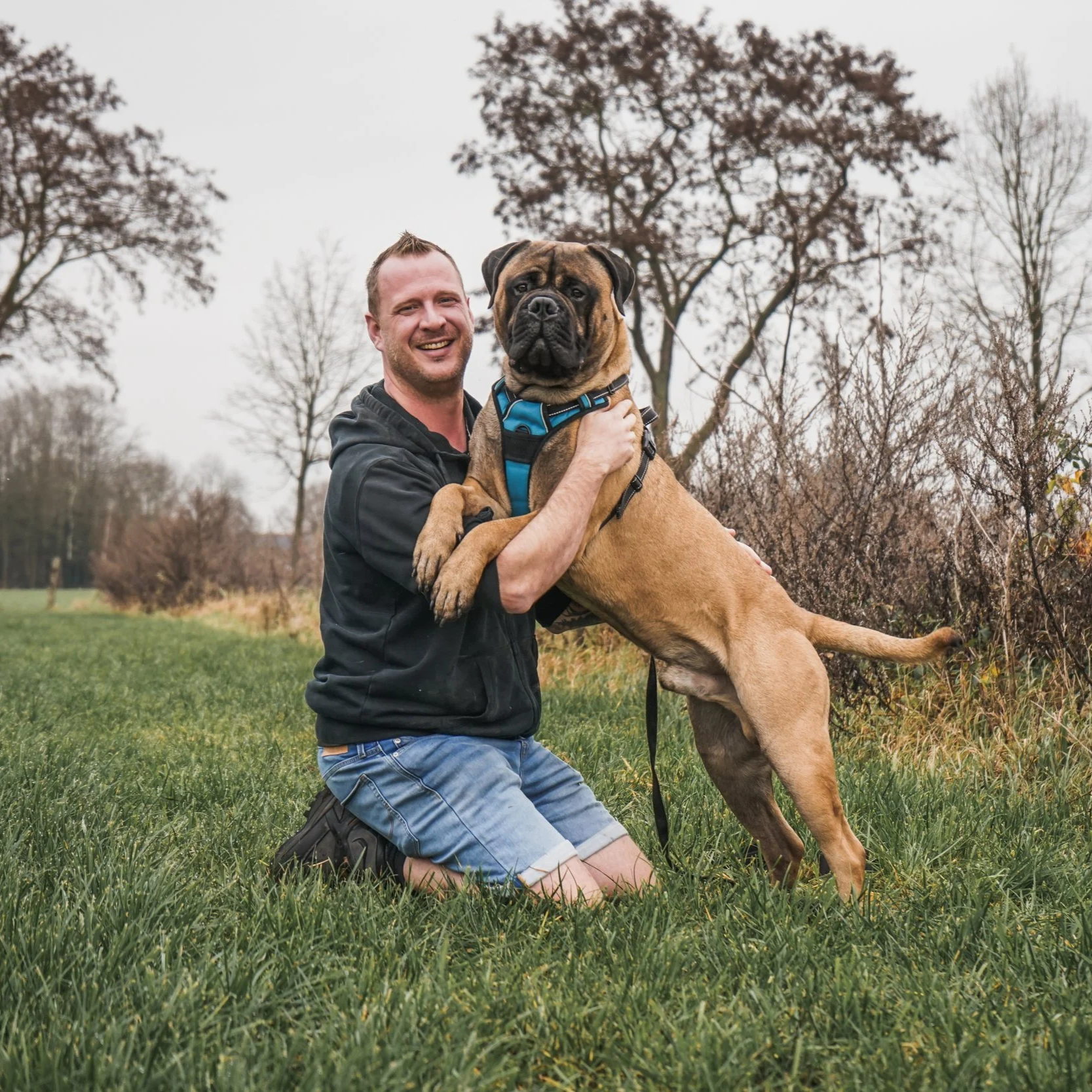 Hans Roijakkers van Haro Dog Training in een veld en rustige omgeving, met zijn waakhond en bullmastiff in de puberteit.