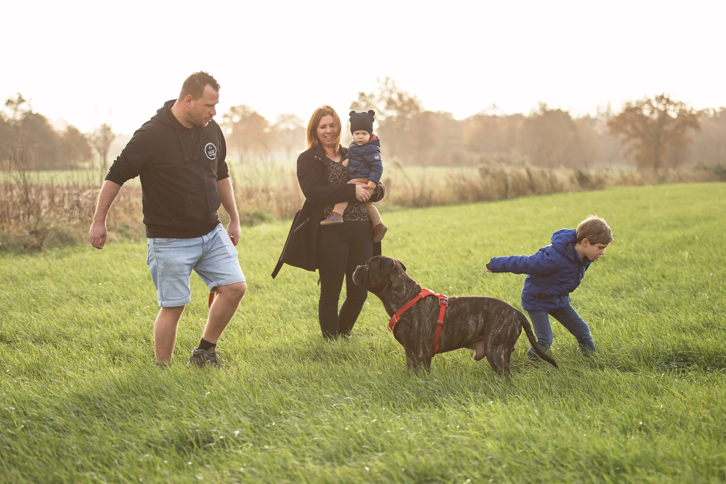 Hans Roijakkers van Haro Dog Training in een veld met een waakhond, Cane Corso, Bulldog, Bullmastiff, met zijn gezin. Lachende kinderen en gelukkig gezin met hun hond. Welzijnsgerichte opvoeding en training.
