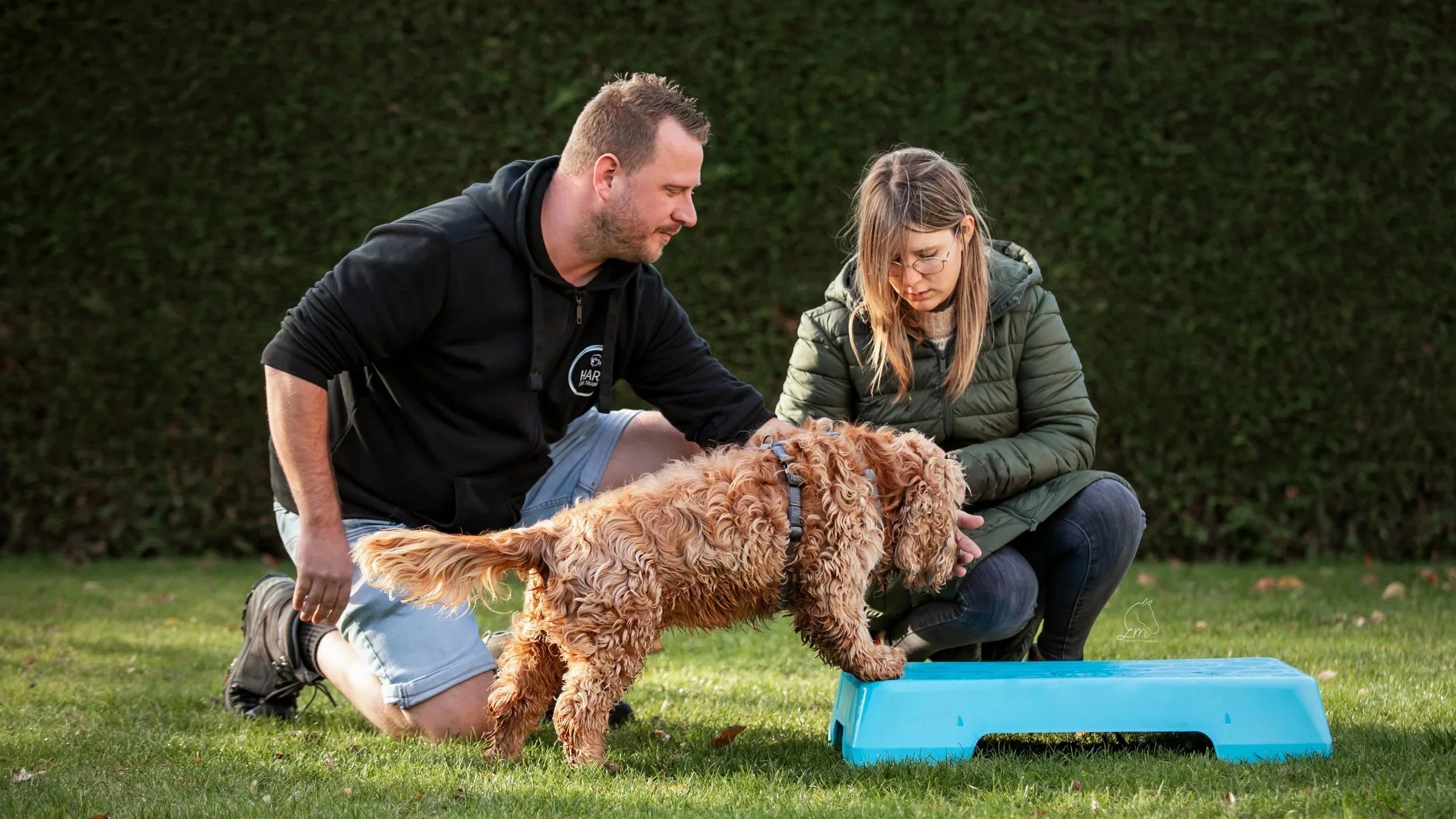 Hans Roijakkers - Haro Dog Training met Cocker Spaniel hond tijdens hondentraining, fitness, algemene training.