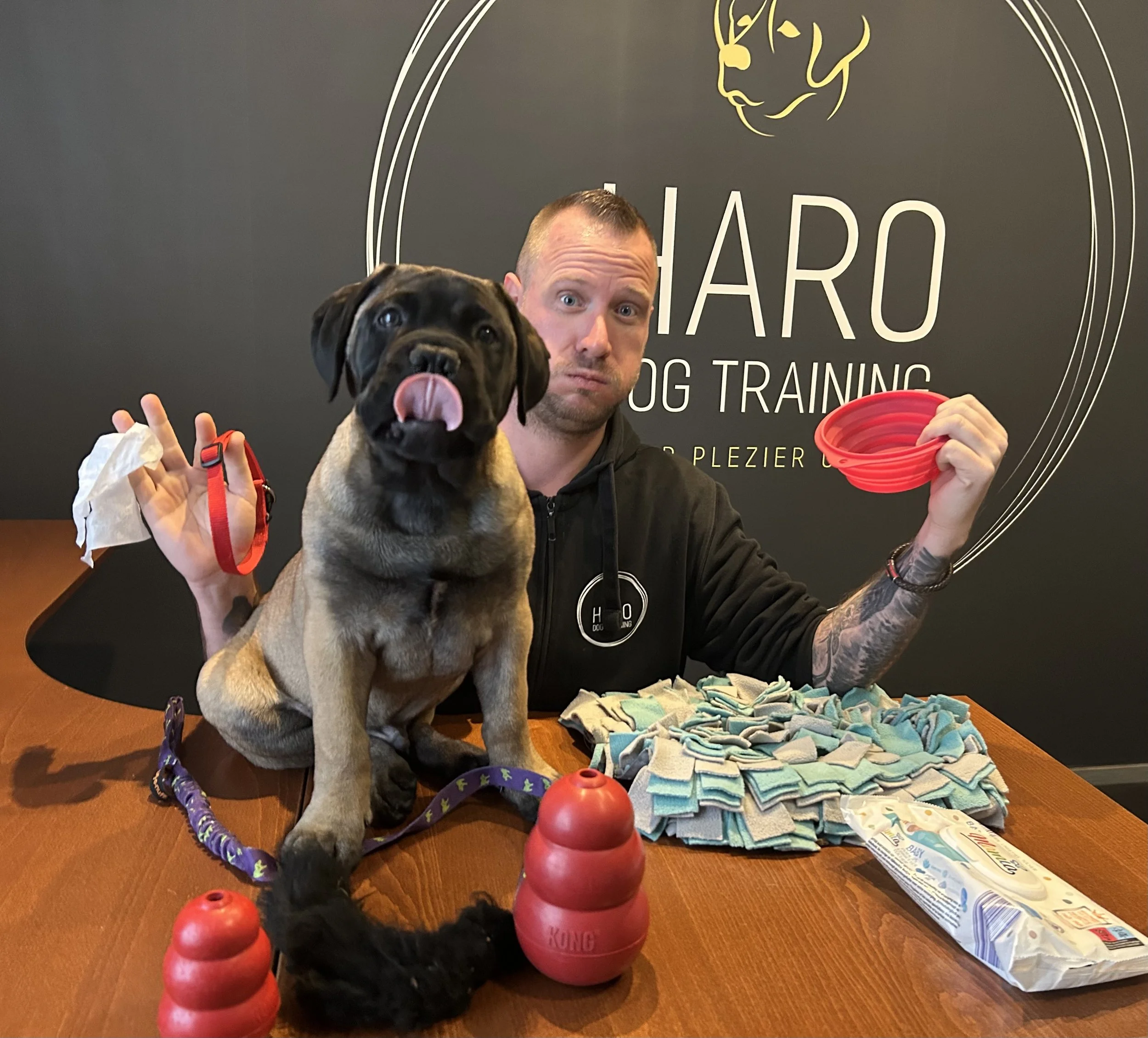 Man met tattoos op arm en een hond trainen met speelgoedballen en handdoeken op een houten tafel voor een muur met logo 'HARD DOG TRAINING'.
