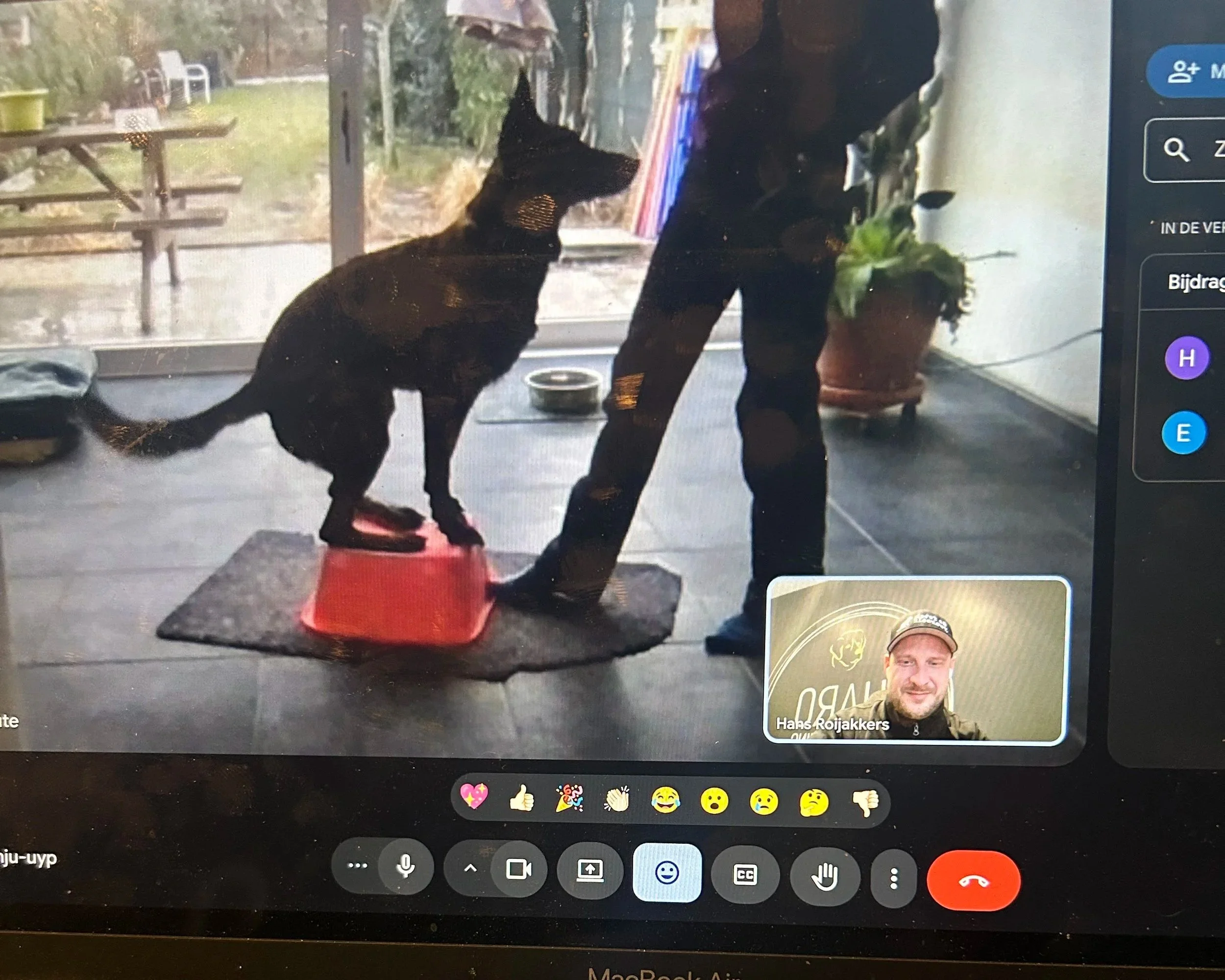 Hans Roijakkers - Haro Dog Training met een Hollandse herder - Mechelaar in training. Gehoorzaamheid, gewenning, fitness , reactiviteit, online consultatie,  welzijnsgericht en beloningsgericht trainen en opvoeden, verbinding met je hond