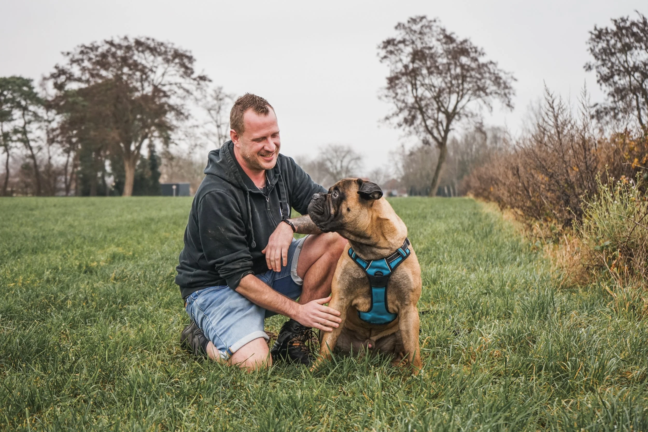 Hans Roijakkers van Haro Dog Training zit met zijn bullmastiff Willem in training in een veld. Verbinding en welzijnsgerichte opvoeding