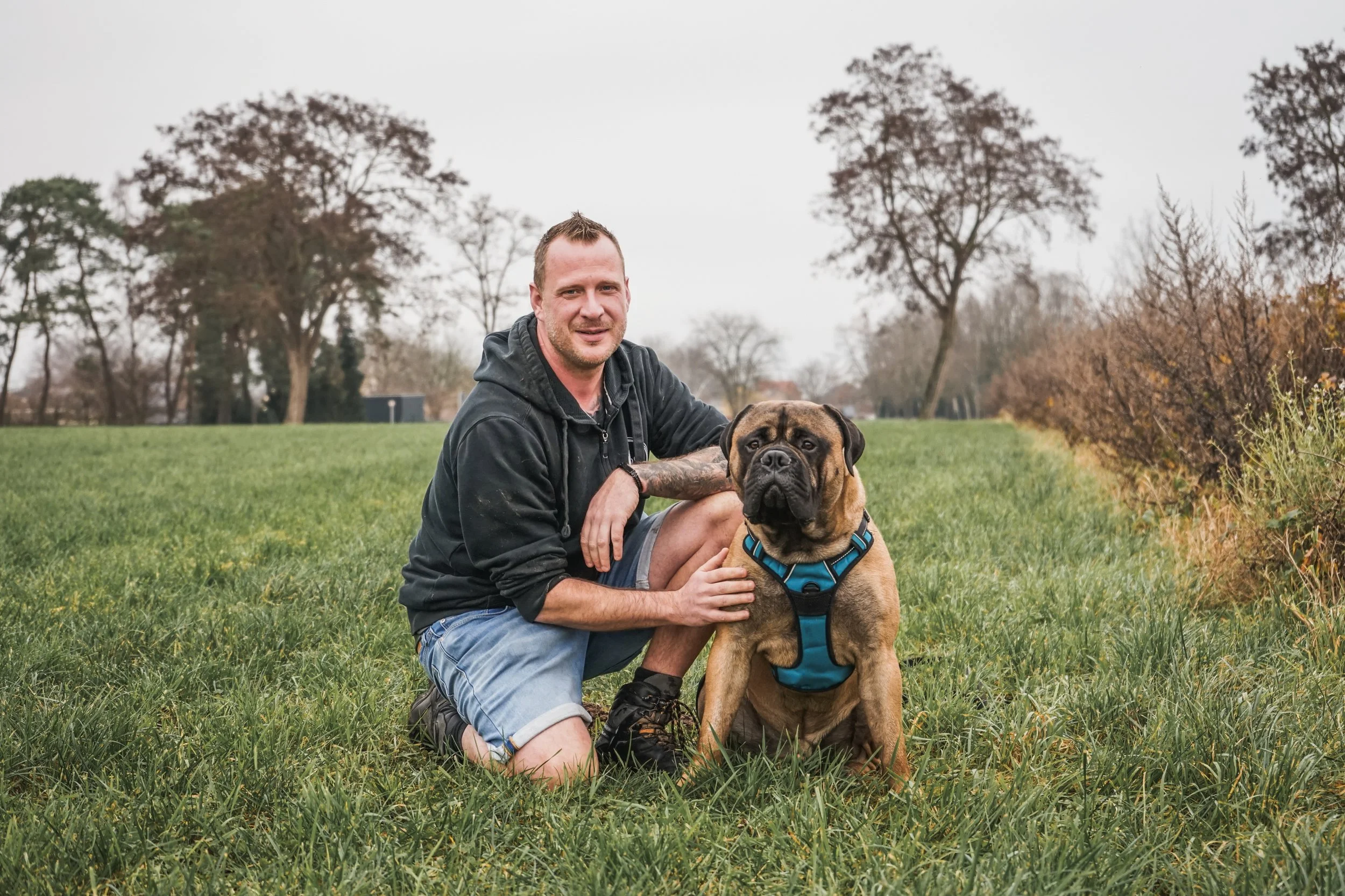 Hans Roijakkers van Haro Dog Training in een veld en rustige omgeving, met zijn waakhond en bullmastiff in de puberteit.