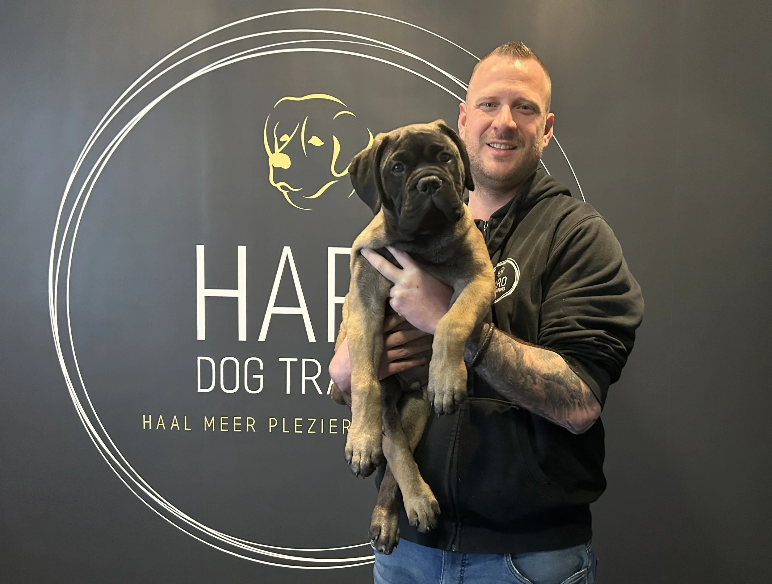 Man houdt een grote puppy vast voor een muur met logo en tekst