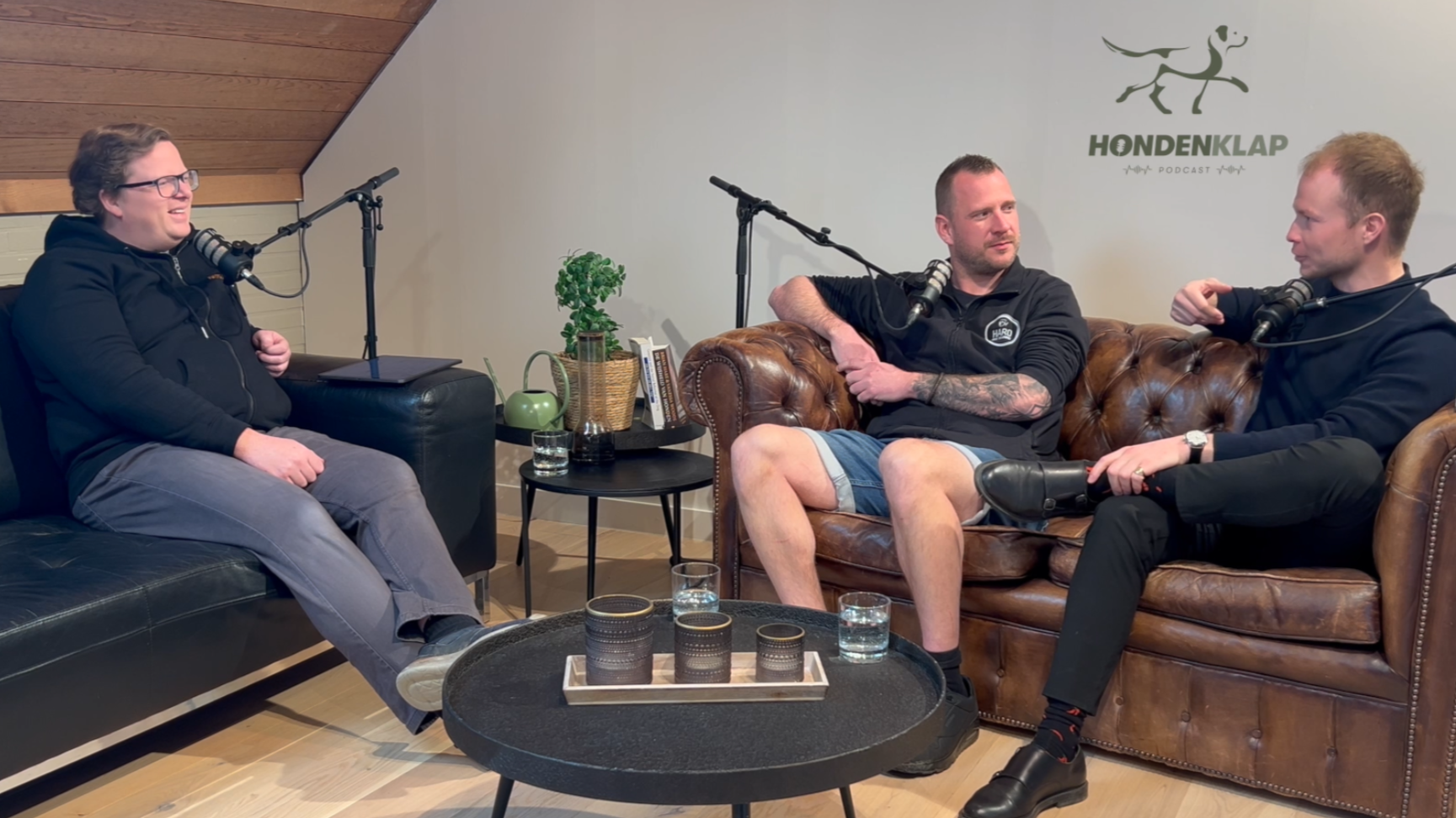 Een opname dag van de podcast Hondenklap. Samen met Hans Roijakkers van Haro Dog Training, Sedrick Vangronsveld van Kwispeltherapie en Jelte Van Camp bestaat deze populaire podcast over honden, hondentraining en hondengedrag.