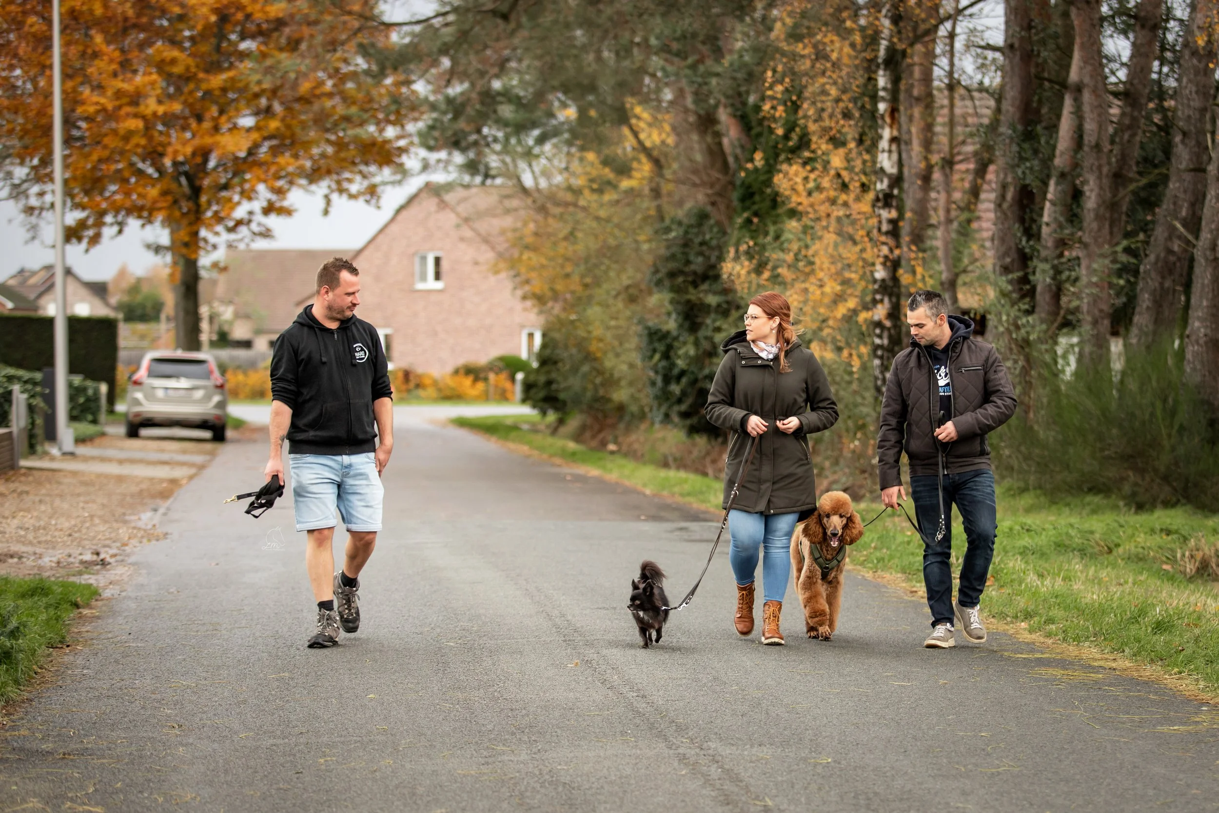 Hans Roijakkers van Haro Dog Training tijdens wandel training hondentraining met een chihuahua en poedel.