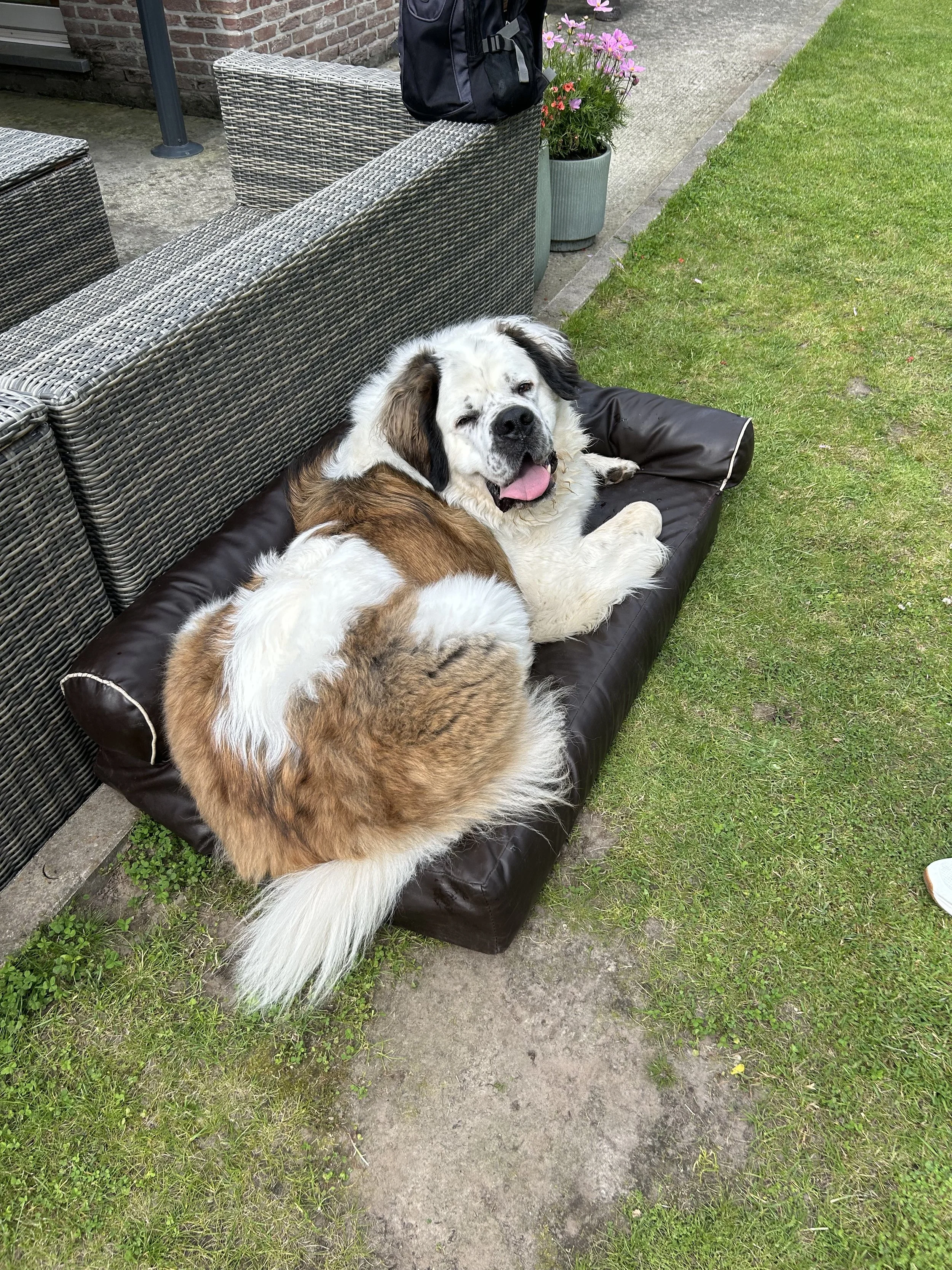 IMG_3136.jpeg