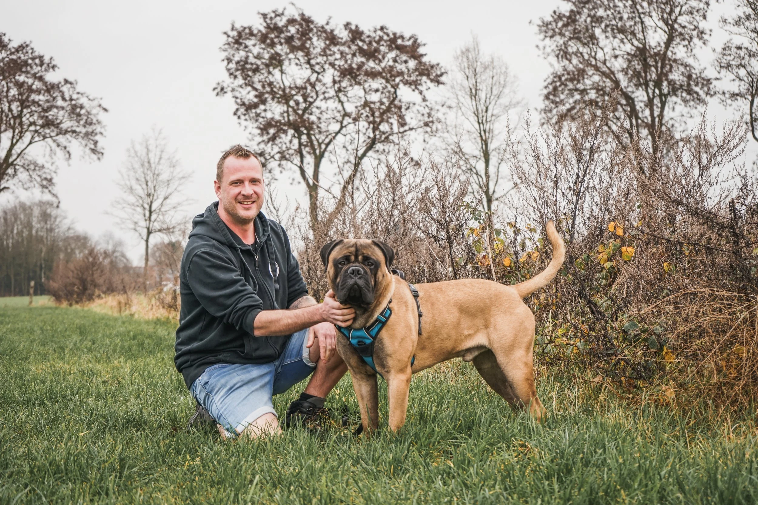 Hans Roijakkers - Haro Dog Training tijdens wandeling in het veld met hondentraining. Bullmastiff