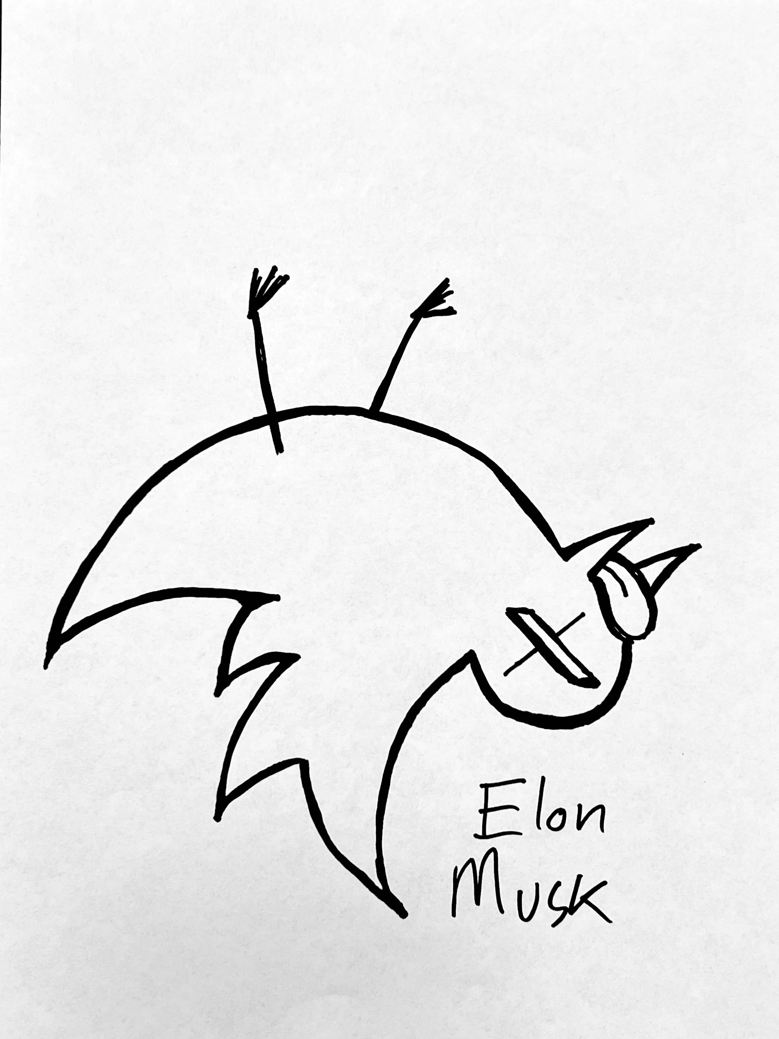 elonmusk.jpg