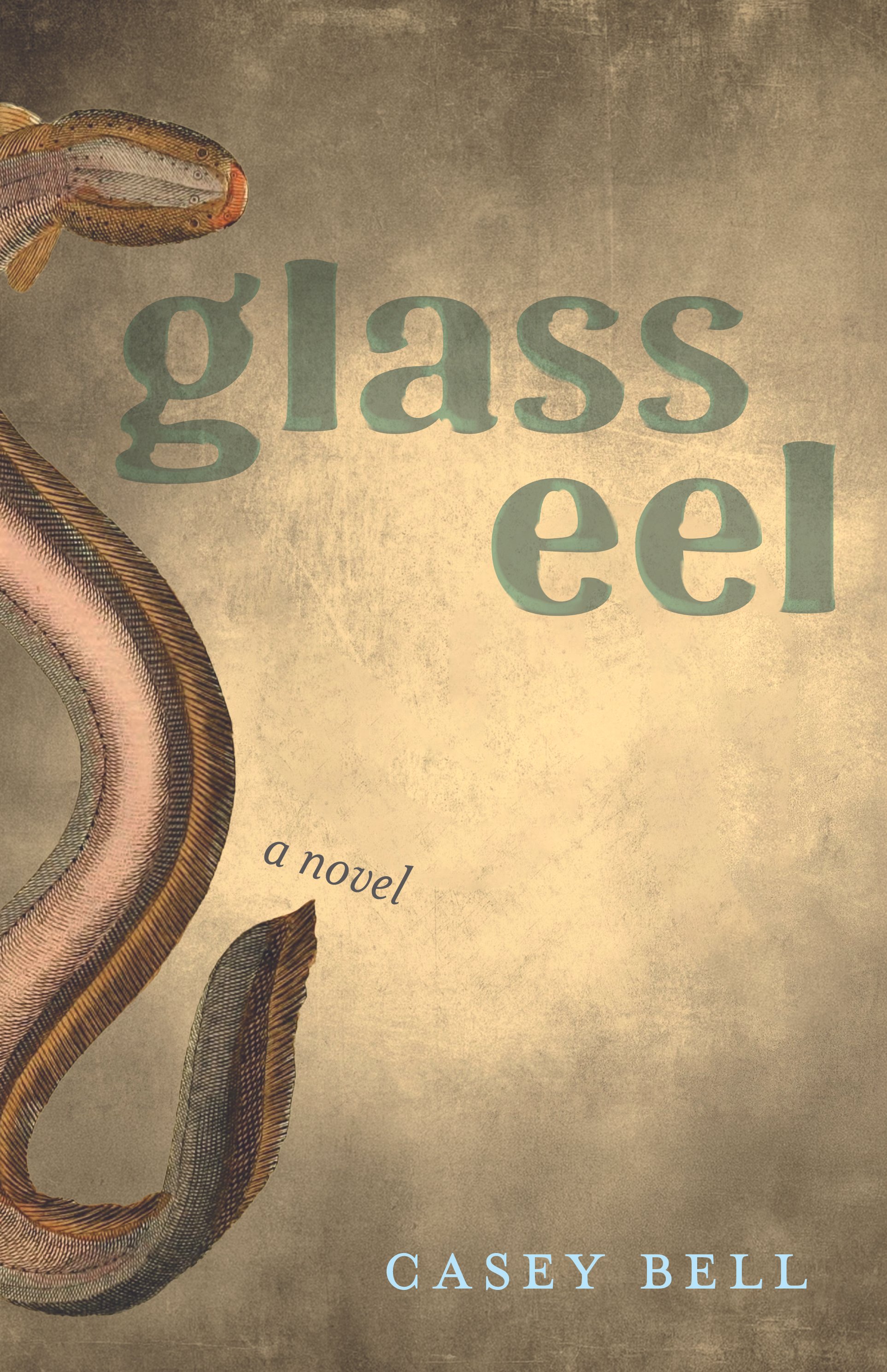 Glass Eel Cover