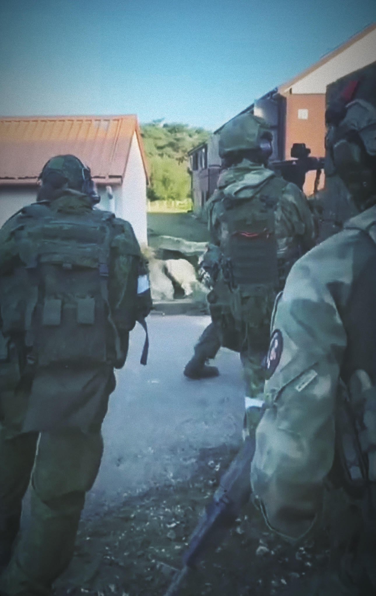 Operation Bauk