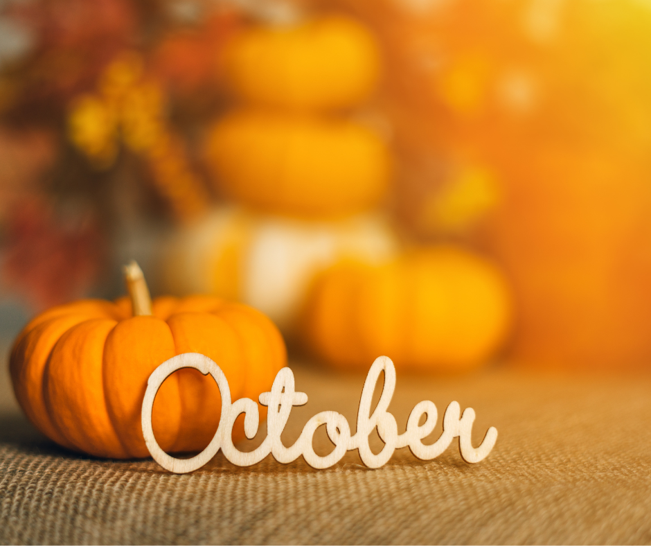 October 30th, 2025 Ringwood’s Council meeting Blog
