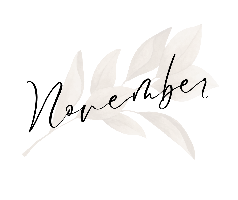 November 25th, 2025 Ringwood’s Council meeting Blog