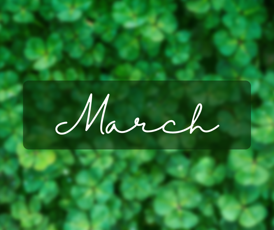 Borough of Ringwood Council Meeting Blog 3/12/26