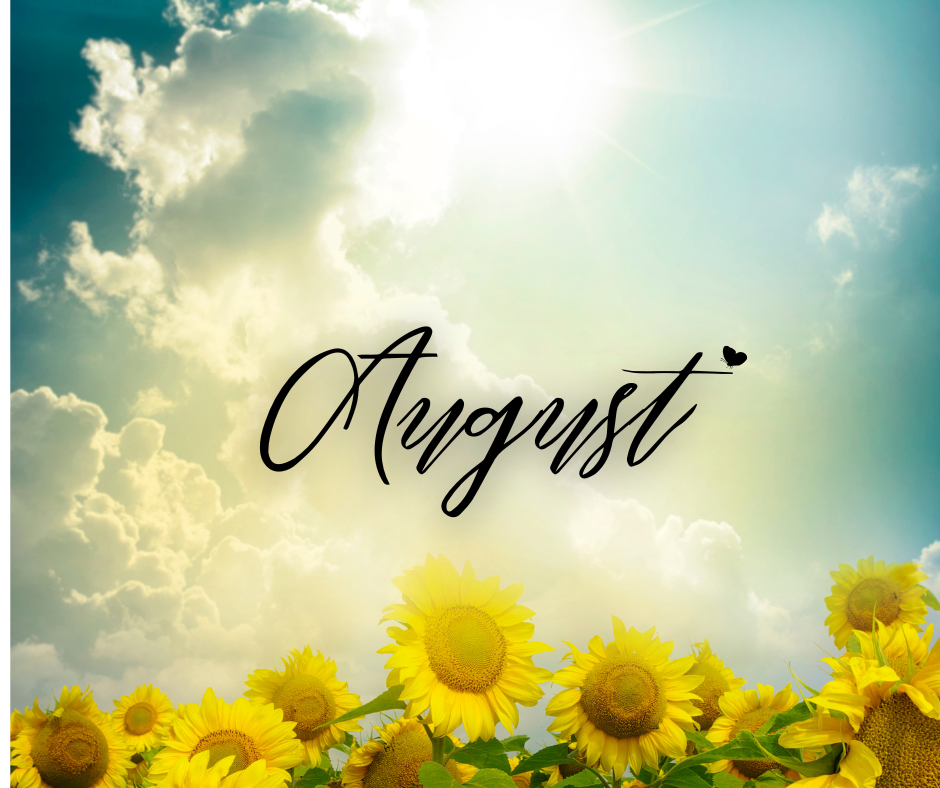 August 18th, 2026 -Ringwood Council Meeting Update