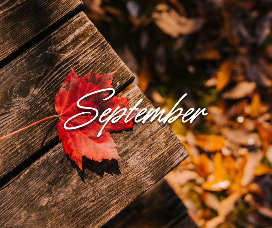 September 15th, 2026 Ringwood Council Meeting&nbsp;Public Update