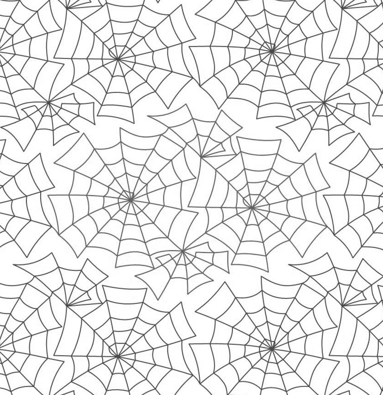 Spooderweb panto bw.jpg