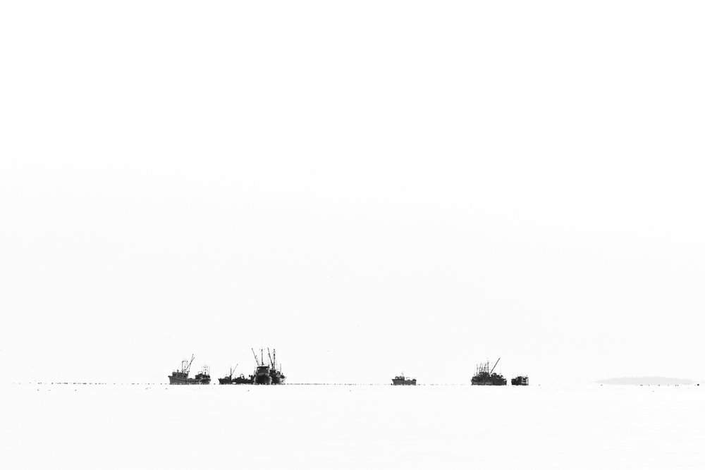  Bright, mid day sun made for little contrast between the sky and water as we approached the fleet; I saw this minimalistic image in black and white as I took it.  