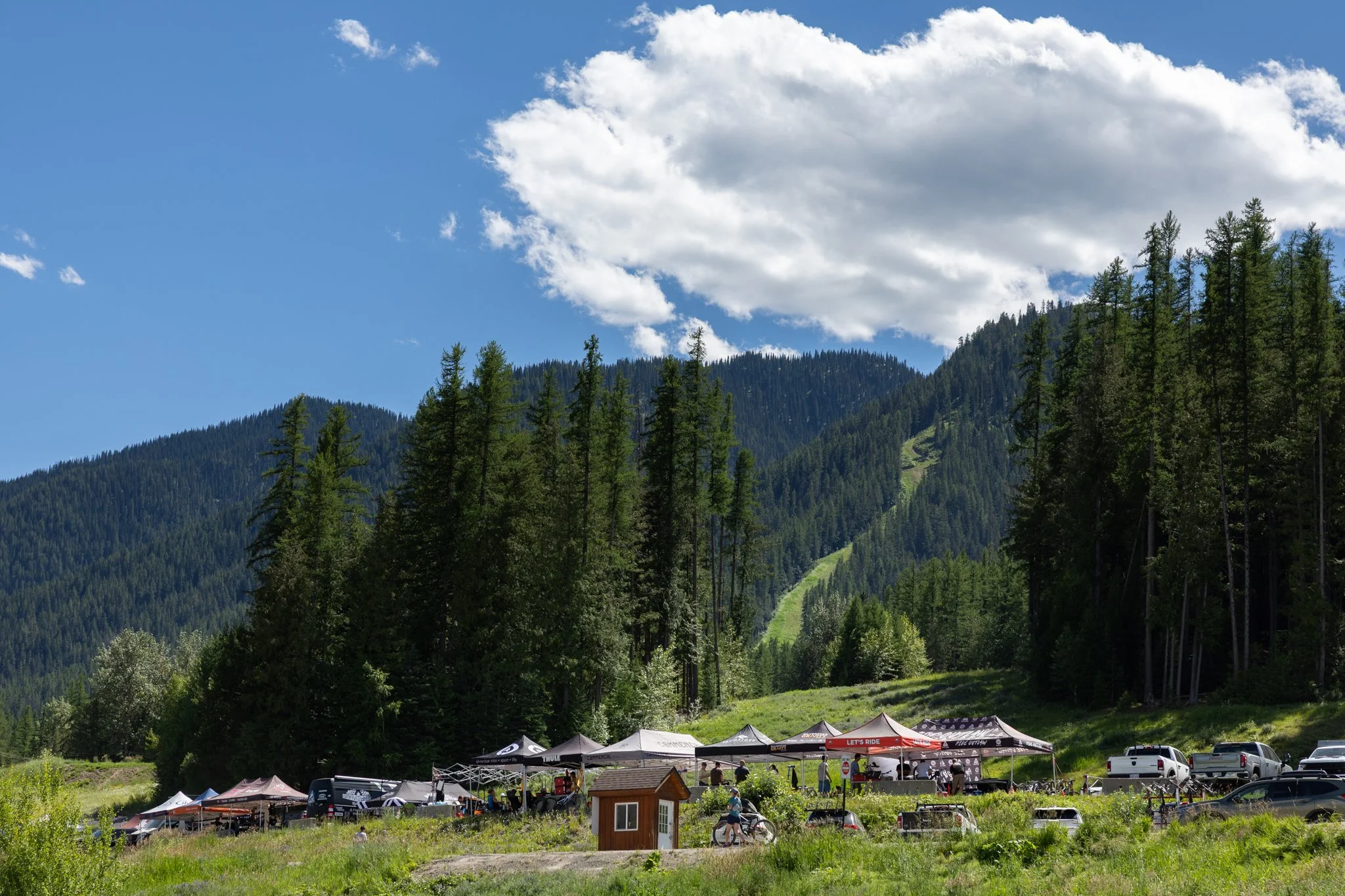 Fernie-1.jpg