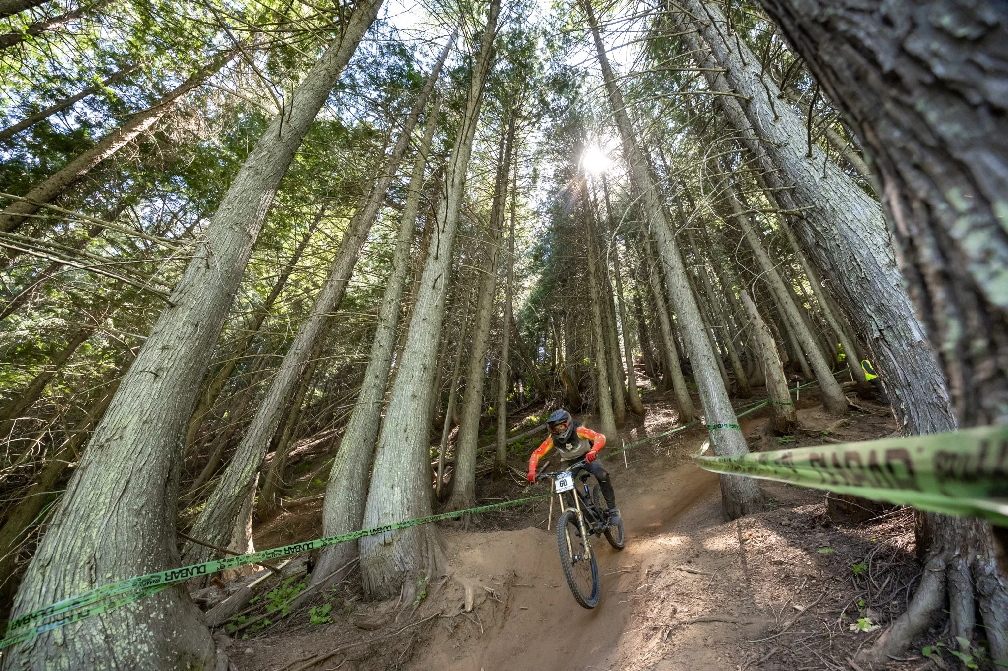 Fernie-43.jpg