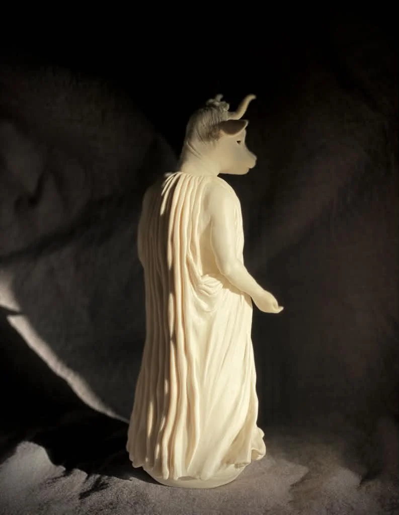 Beneficence2026-3.jpeg
