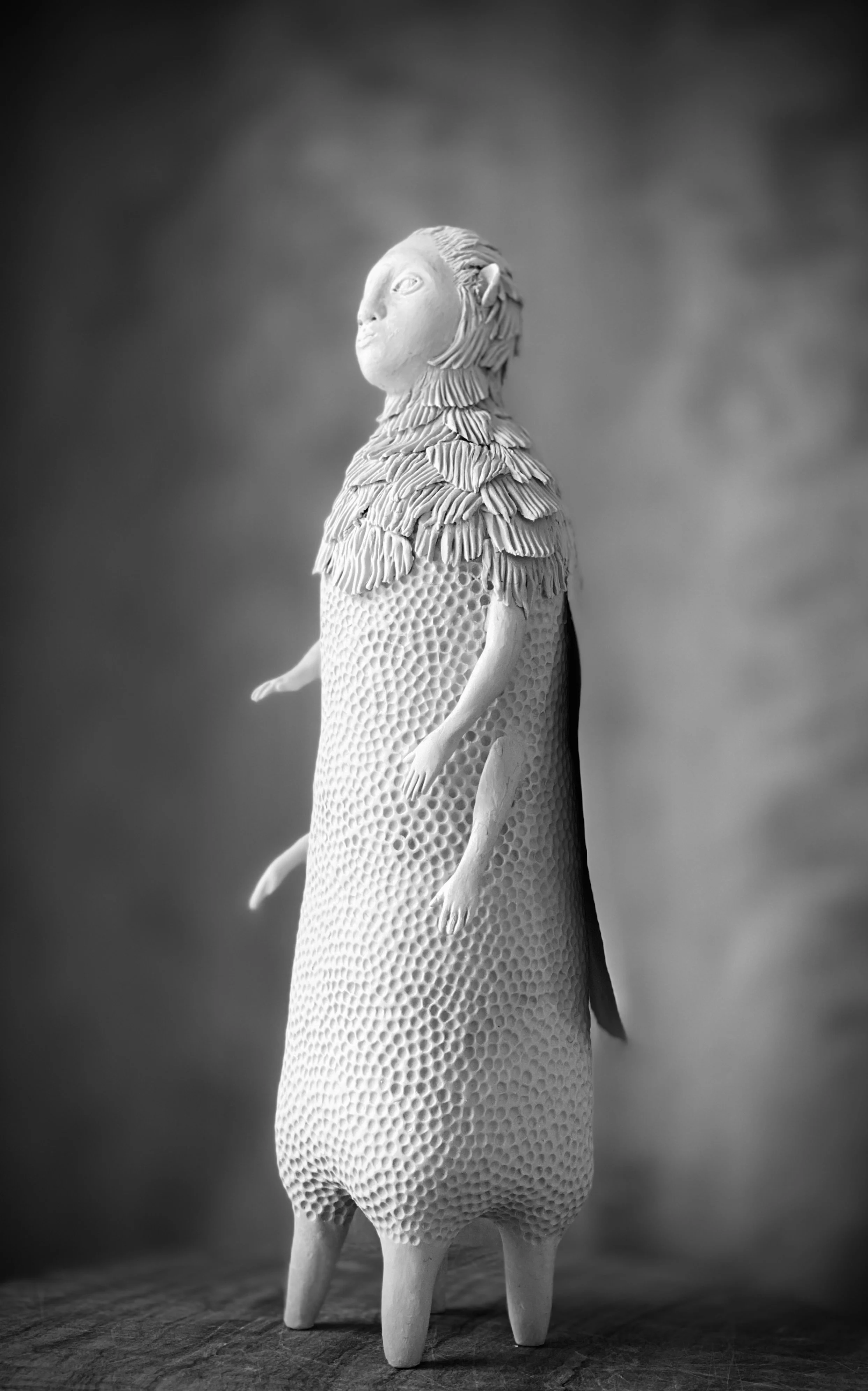 Moth, 2023