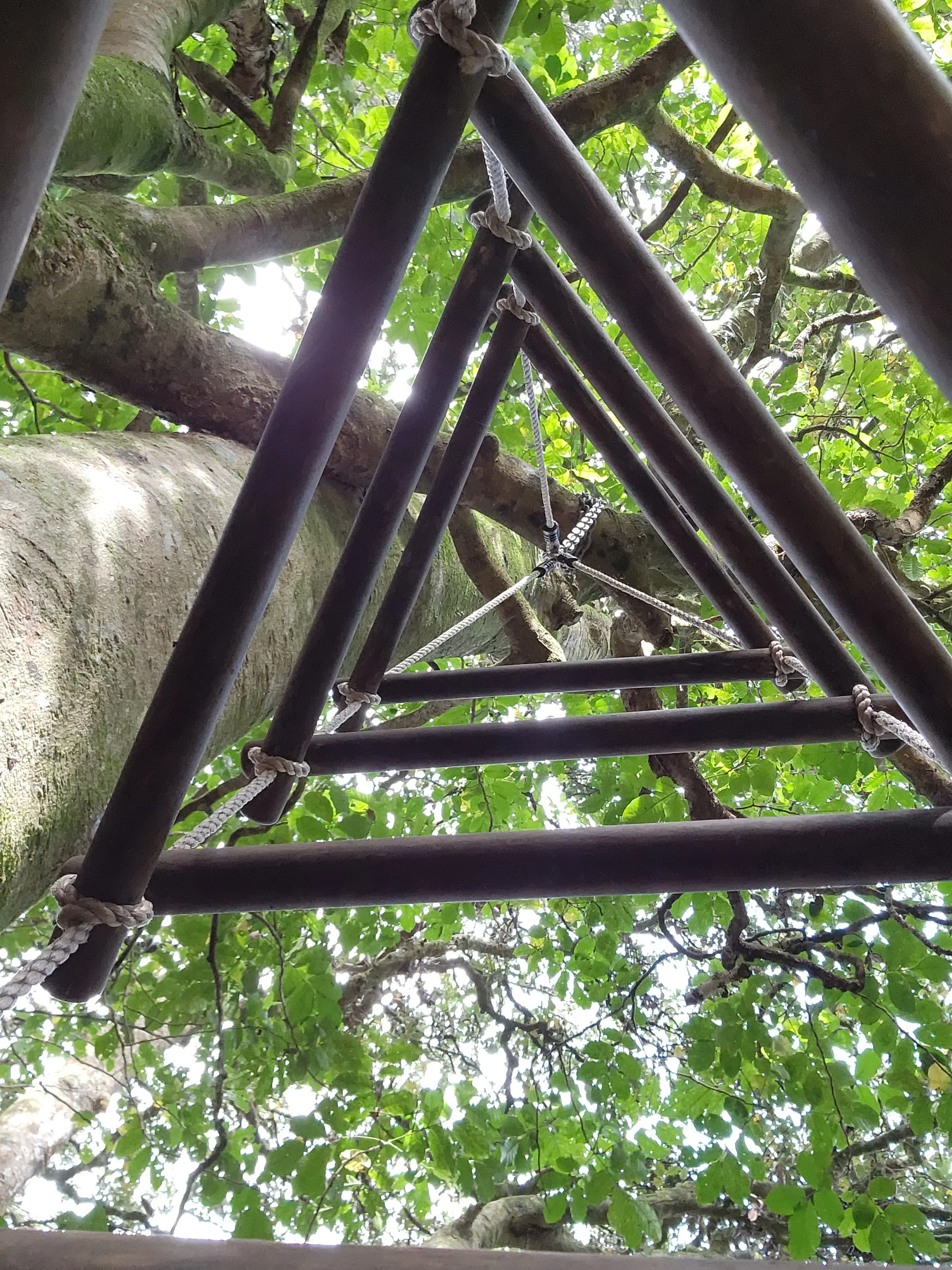 Why does it feel like we are still in Mercury Retrograde?