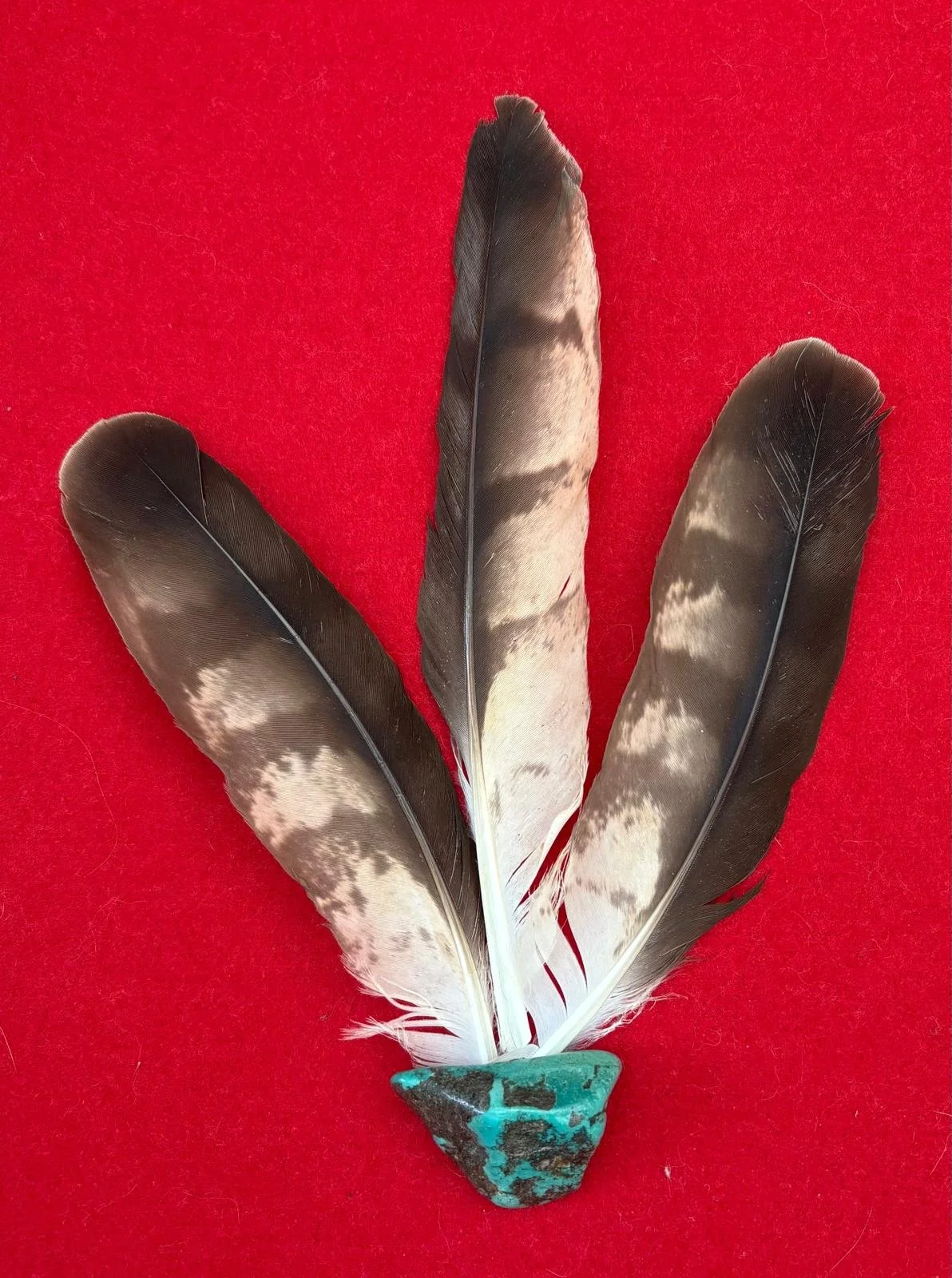 Releasing Ritual: A Sacred Journey to Let Go and Renew