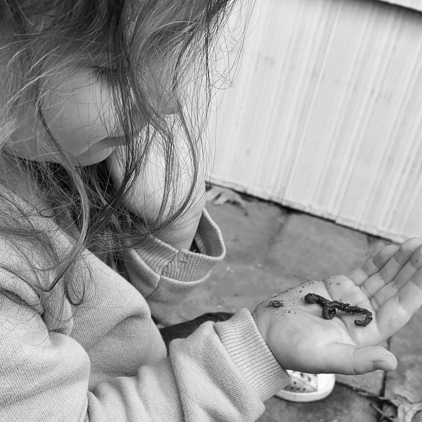 Have our toddlers lost a year of learning and socializing?

I get asked this question a lot. This has been a year full of unknowns, especially for our kids. However, what I can tell you, is that exploring IS learning. Our kids will always get the aca