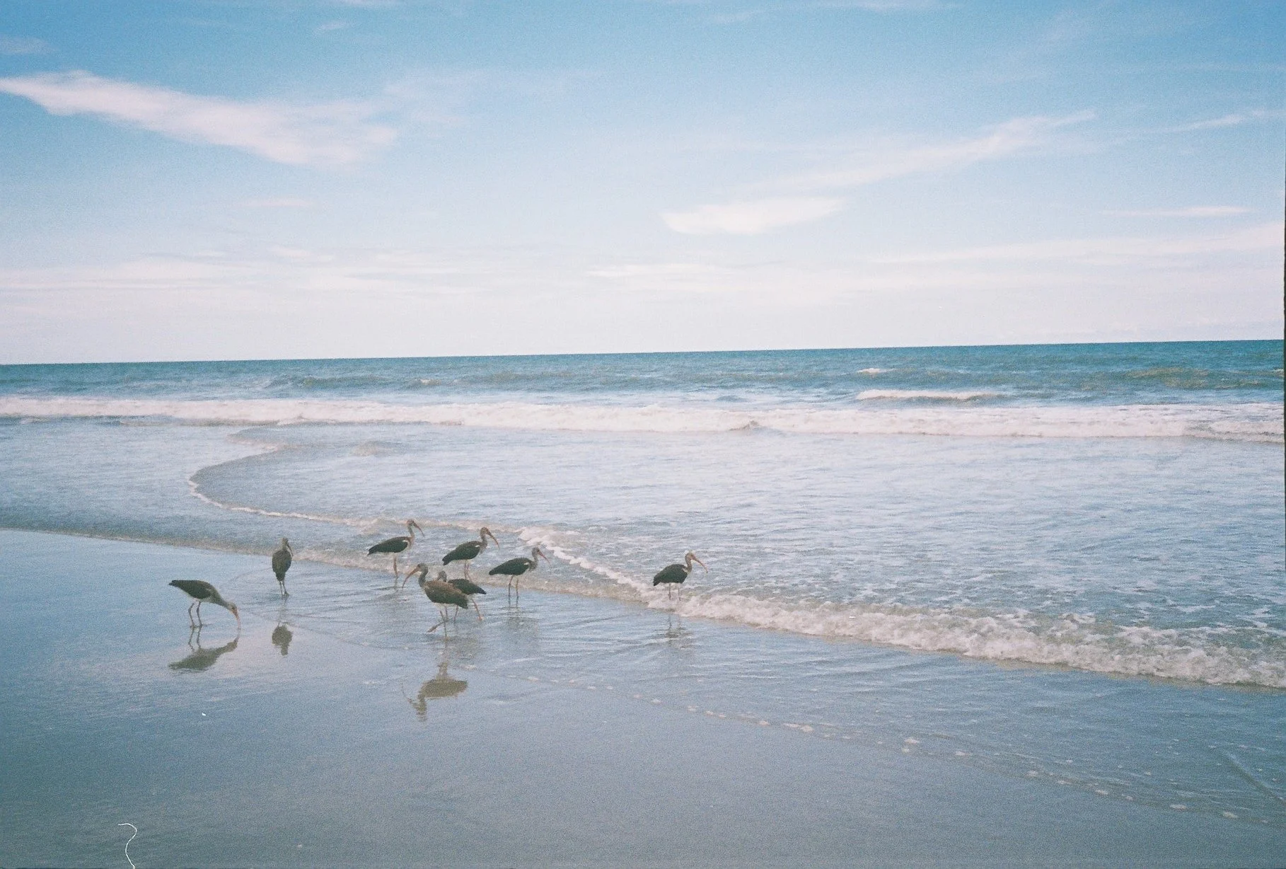 R1-09142-015A.JPG