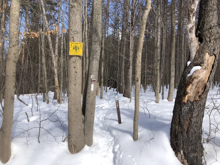 Mt. Roderick Loop | Trails Less Traveled | Central NY