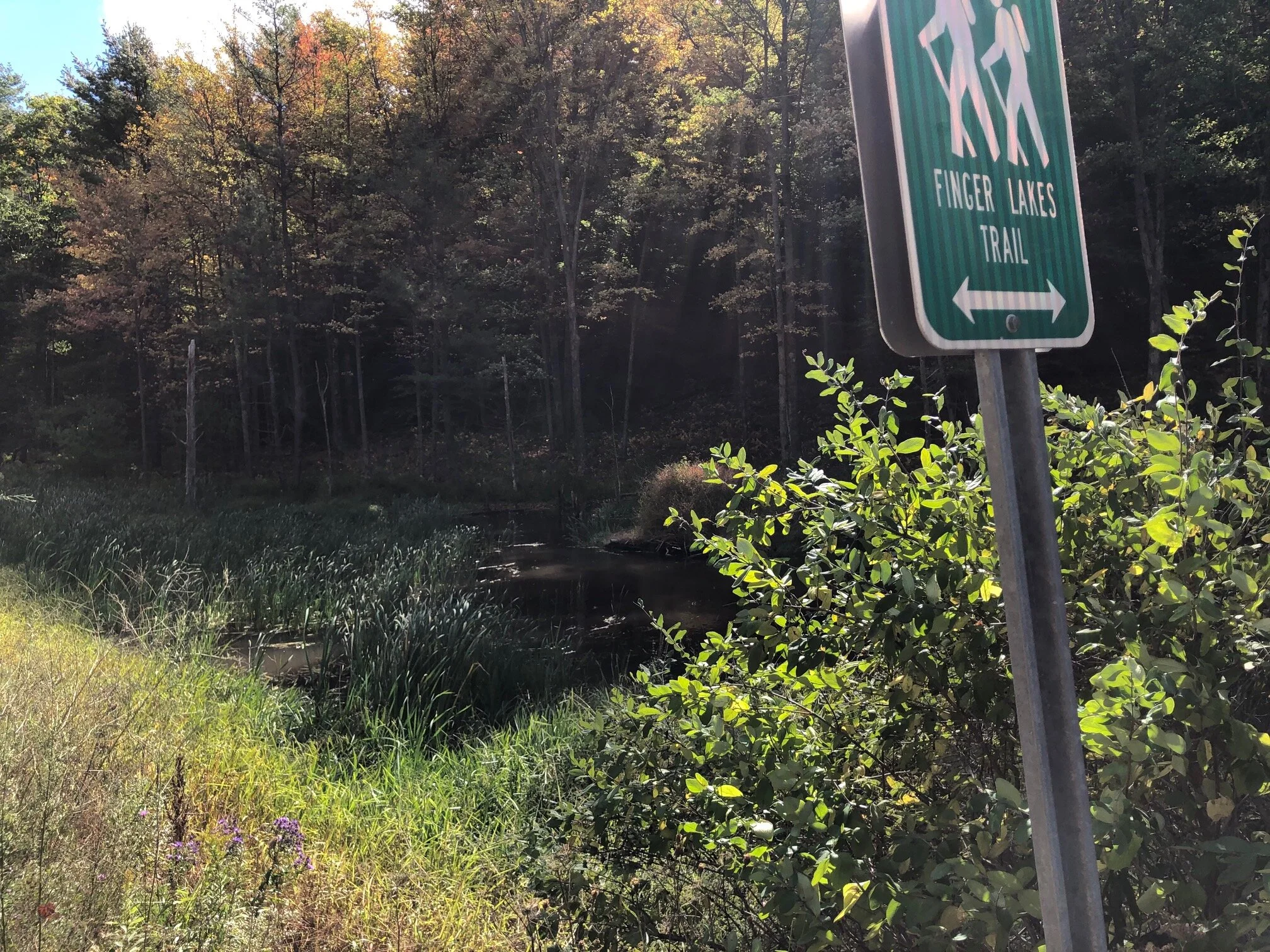 Parking area and beaver pond on Harford-Slaterville Road