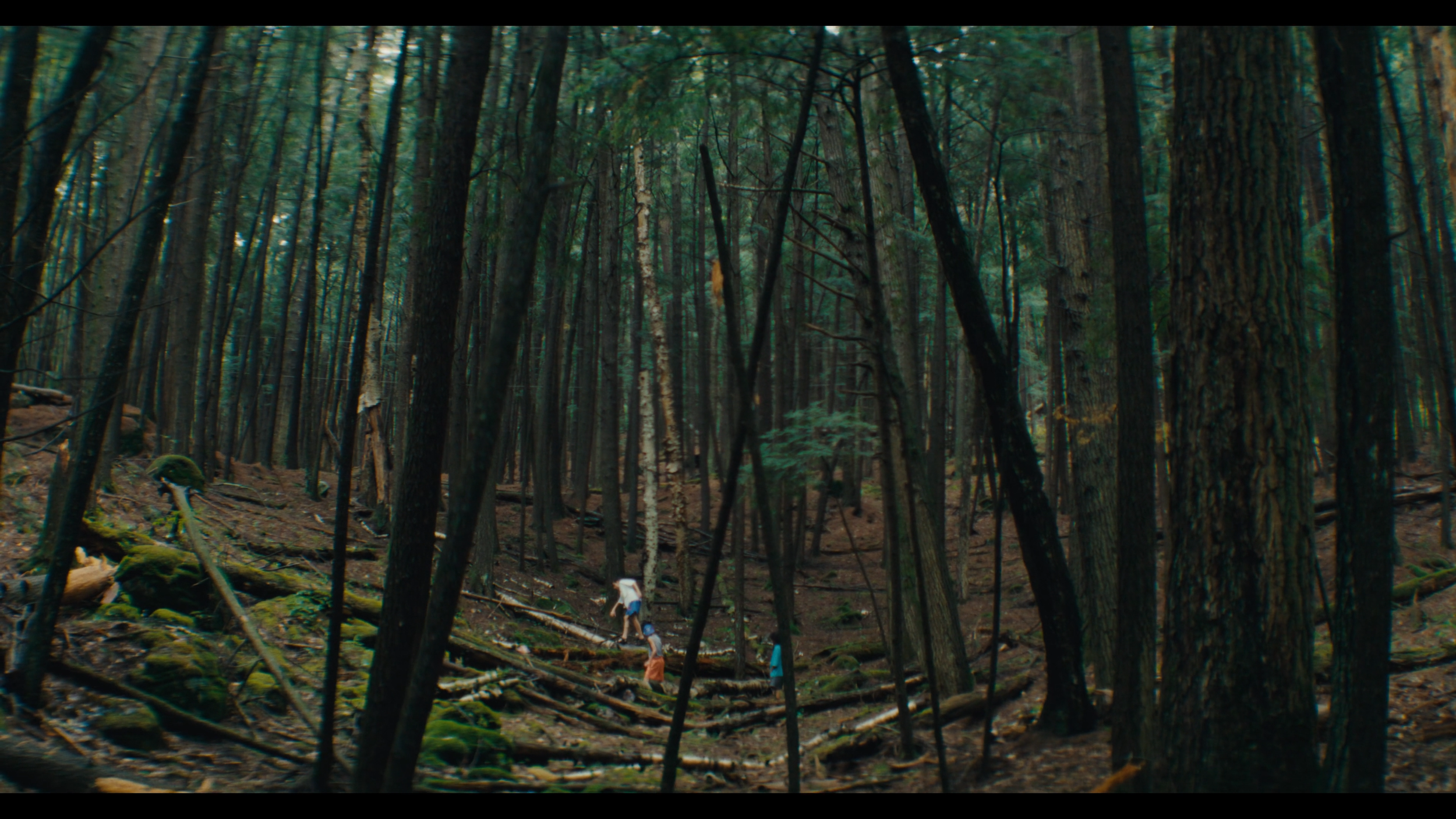 Sequence 01.00_04_38_01.Still063.png