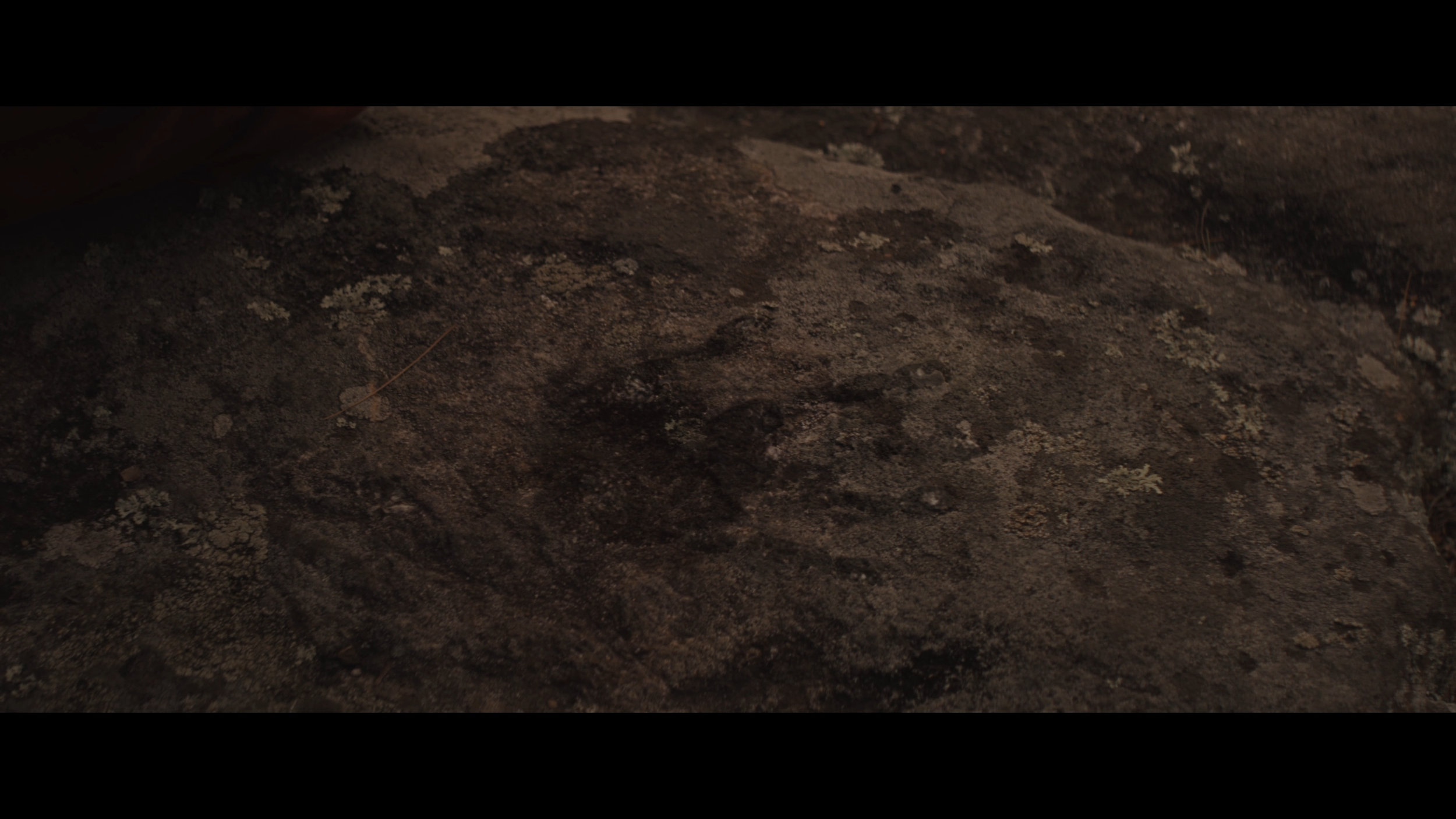 Sequence 01.00_10_12_00.Still153.png