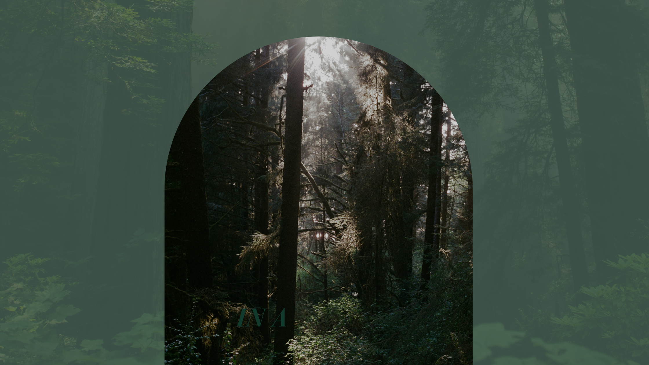 Finding Roots in a Fast-Paced World | Part 2