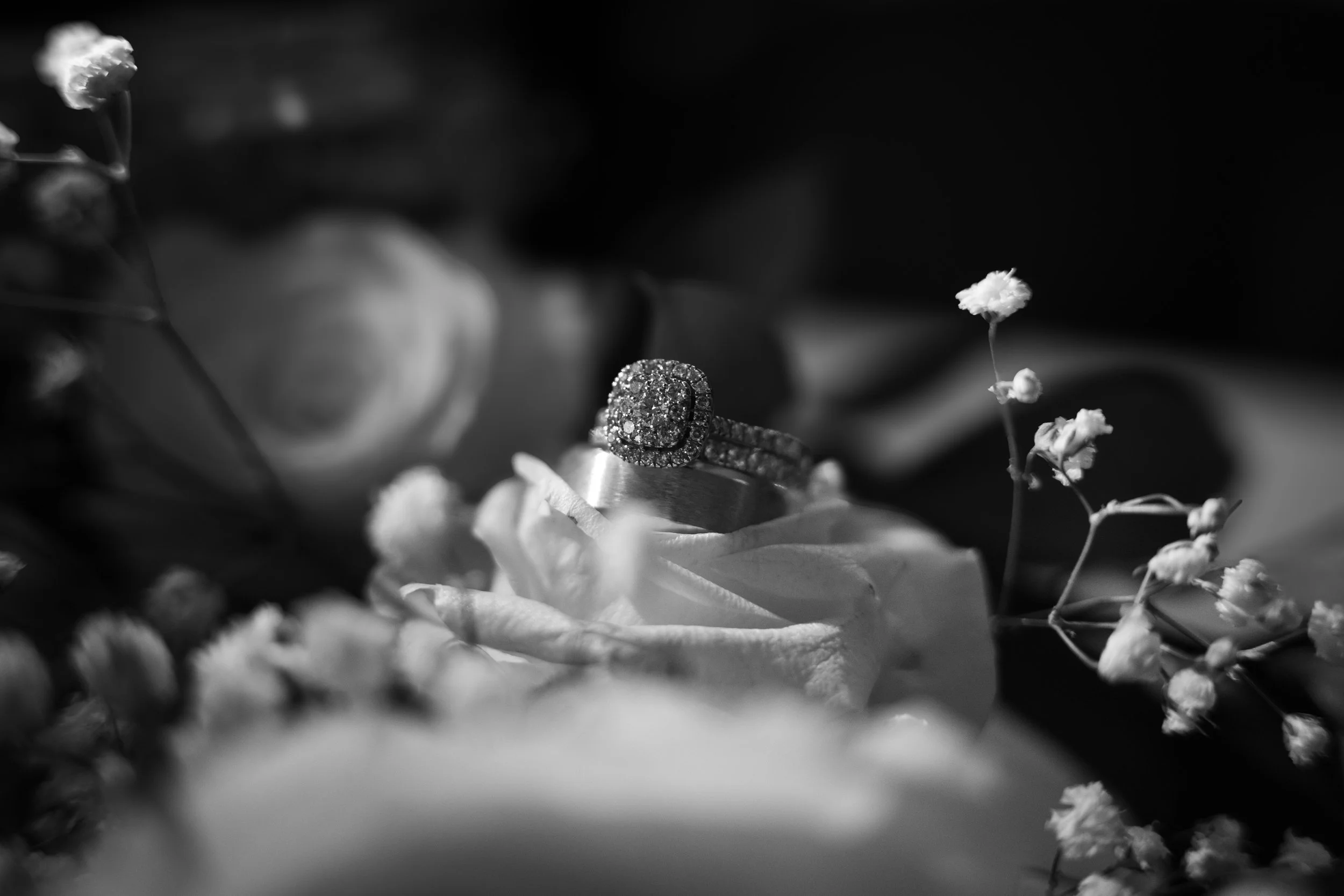 MRK02521.jpg