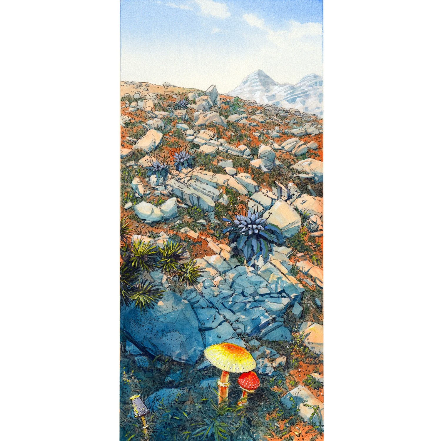 Tofane YellowFly Sm SQ.jpg