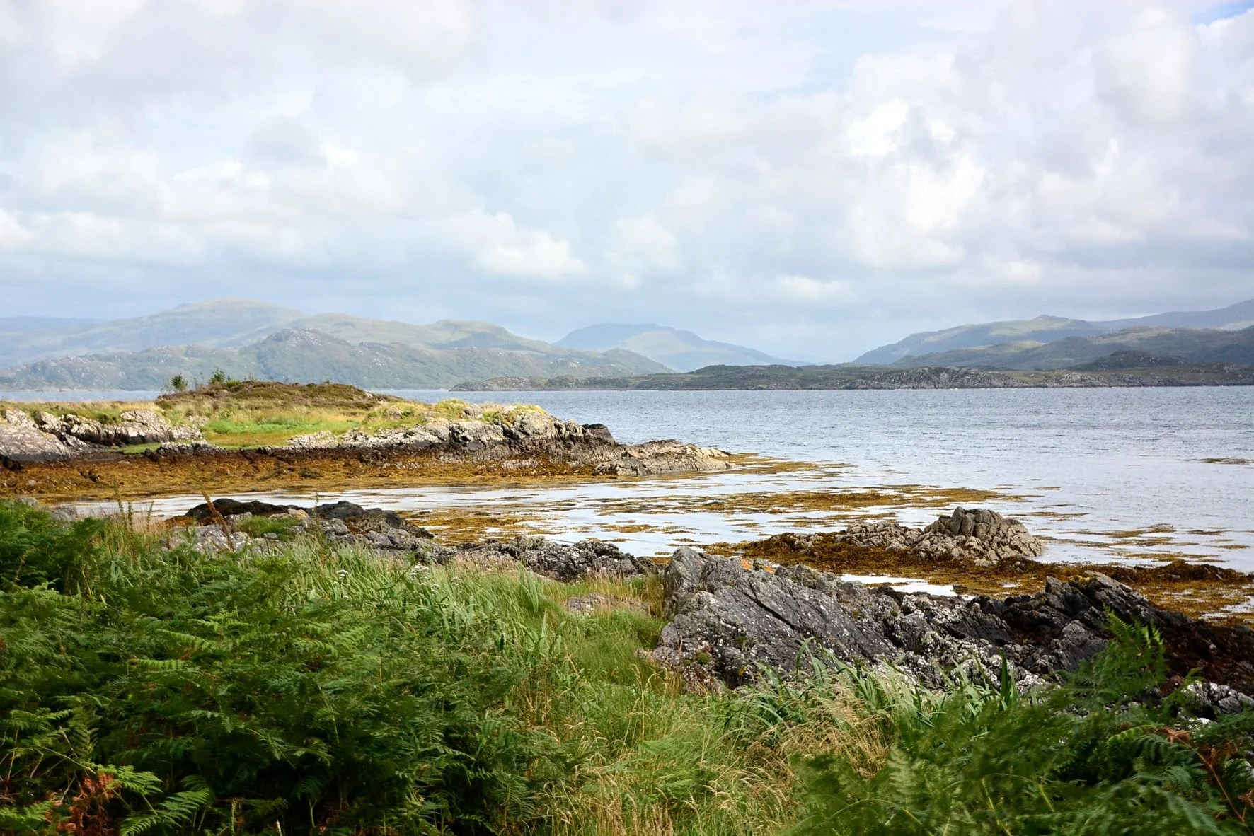 Taken fromn the 'seat'..jpg